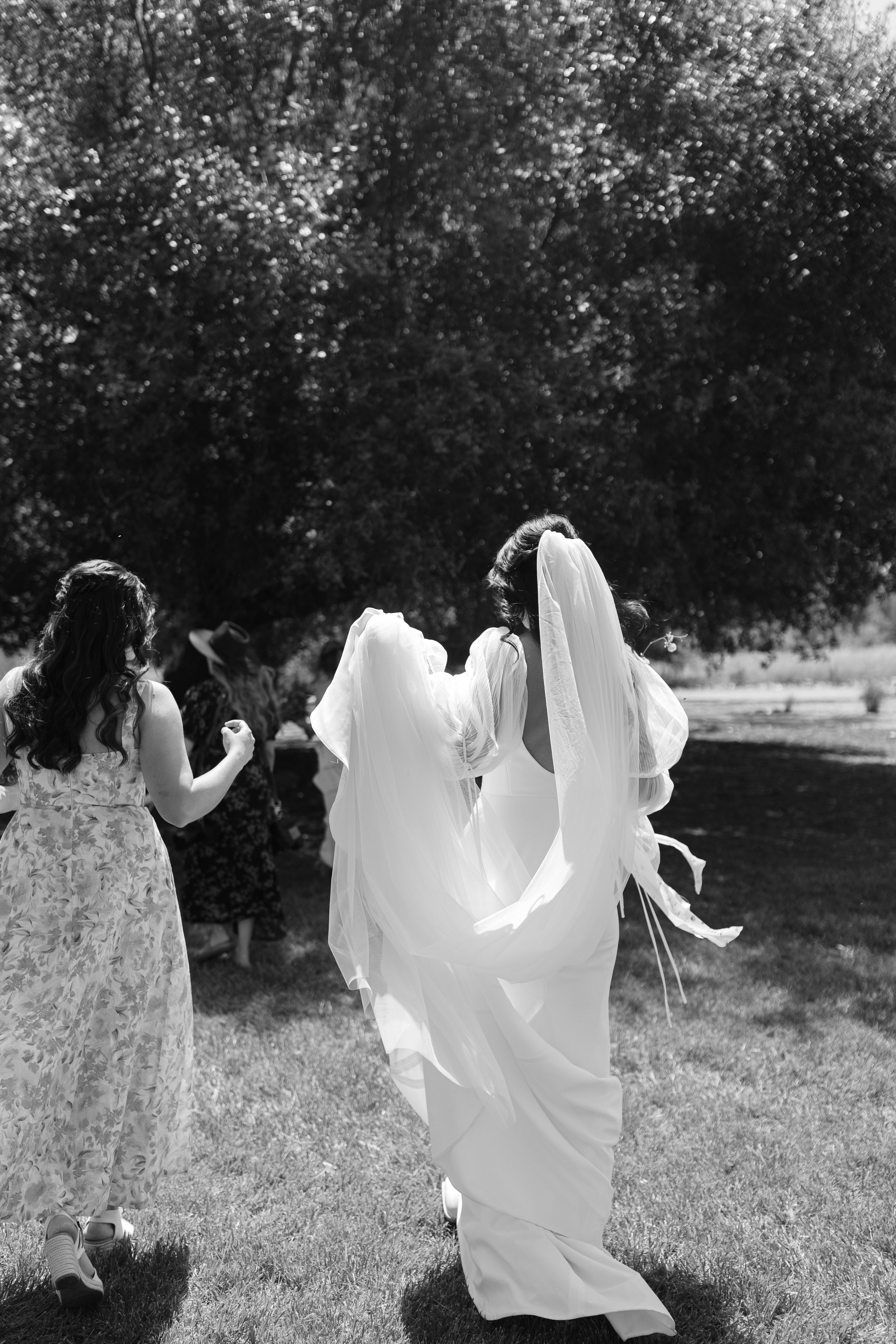 Bride and bridesmaids walking together outdoors, candid bridal party moment captured by a Northern California, Napa, and Sonoma wedding photographer.