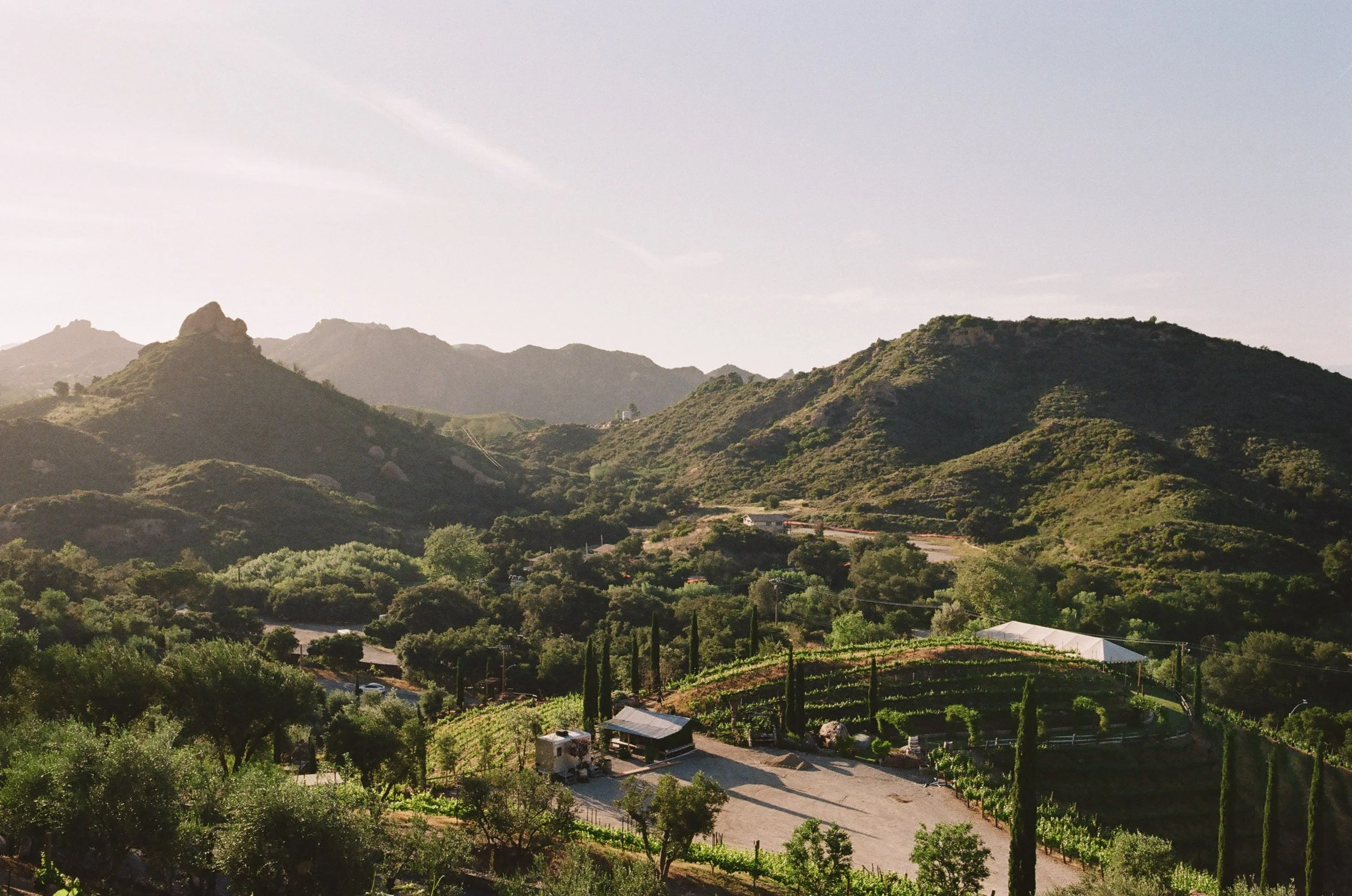 Malibu Hills winery wedding landscape with scenic vineyard and mountain views, outdoor wedding venue inspiration.