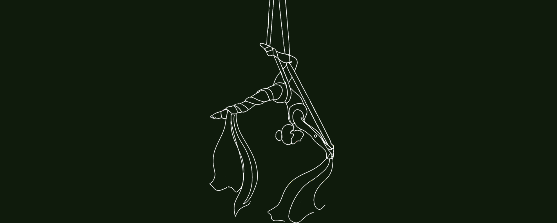 AERIAL.png
