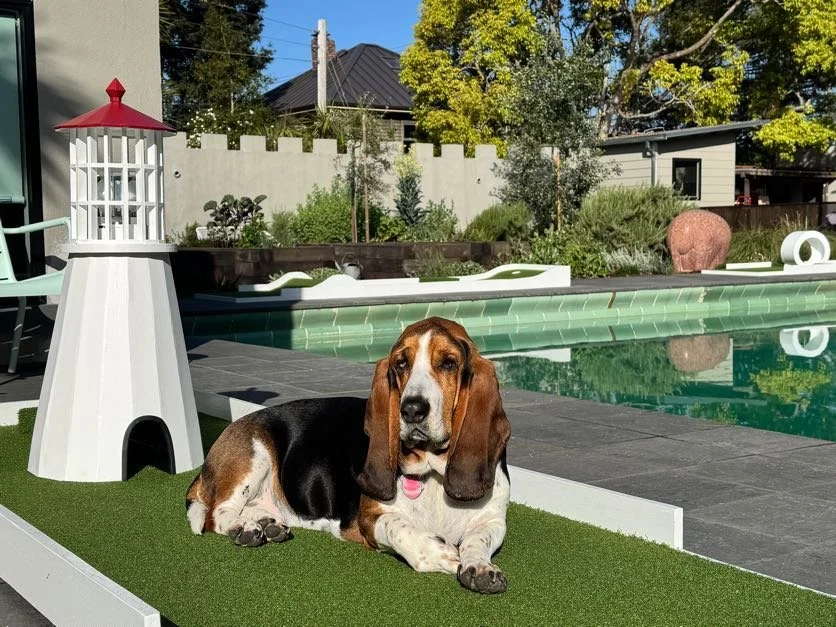 A Basset Hound dog lying on artificial grass by a swimming pool in a backyard, with a white lighthouse decoration nearby and a garden with trees and shrubs in the background.