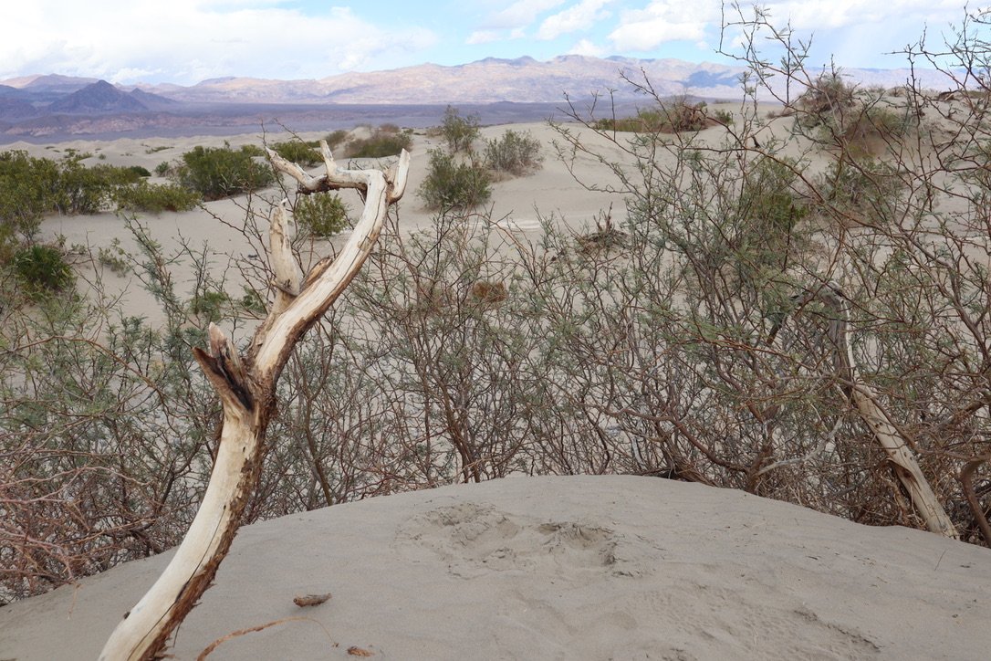 A Dream Within A Dream