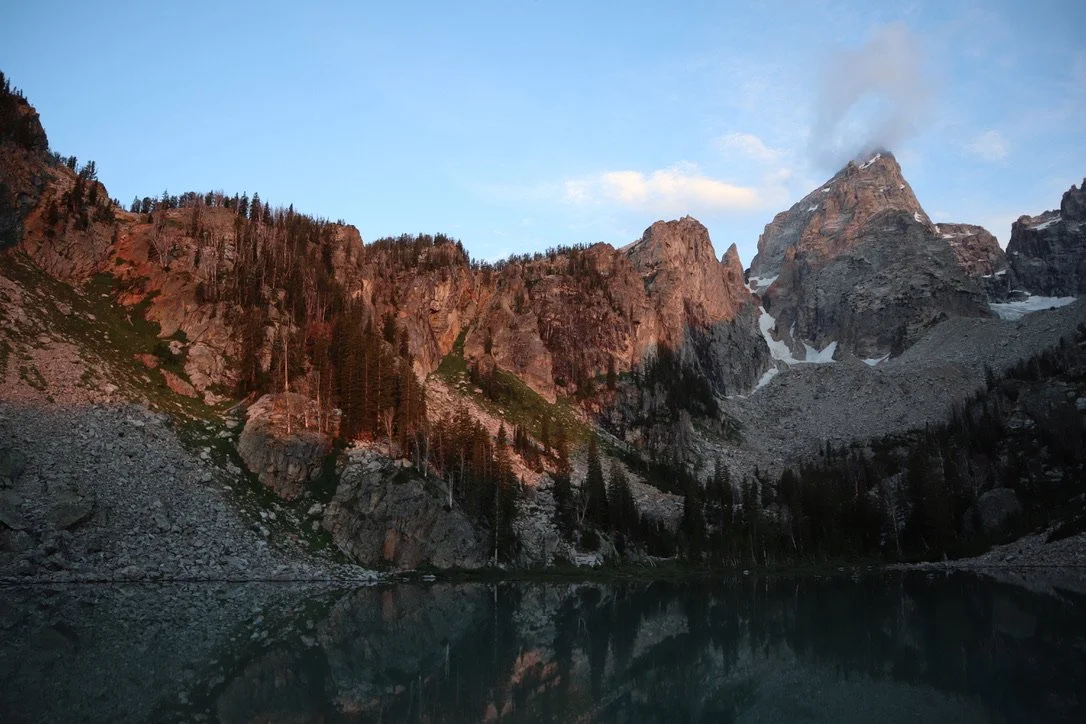 Creatures of the Light