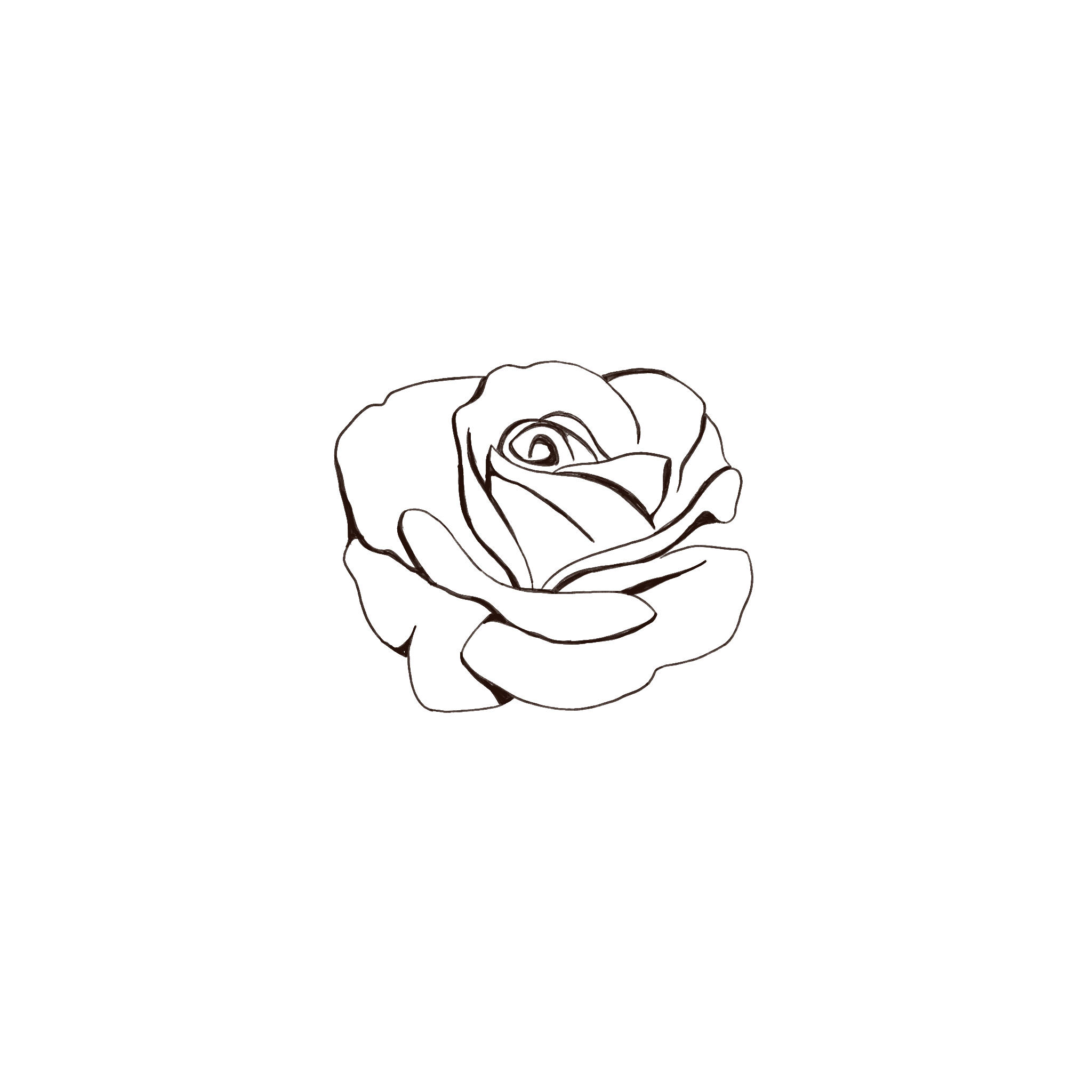 Outline drawing of a rose flower - an Heirloom Media Co customized brand illustration