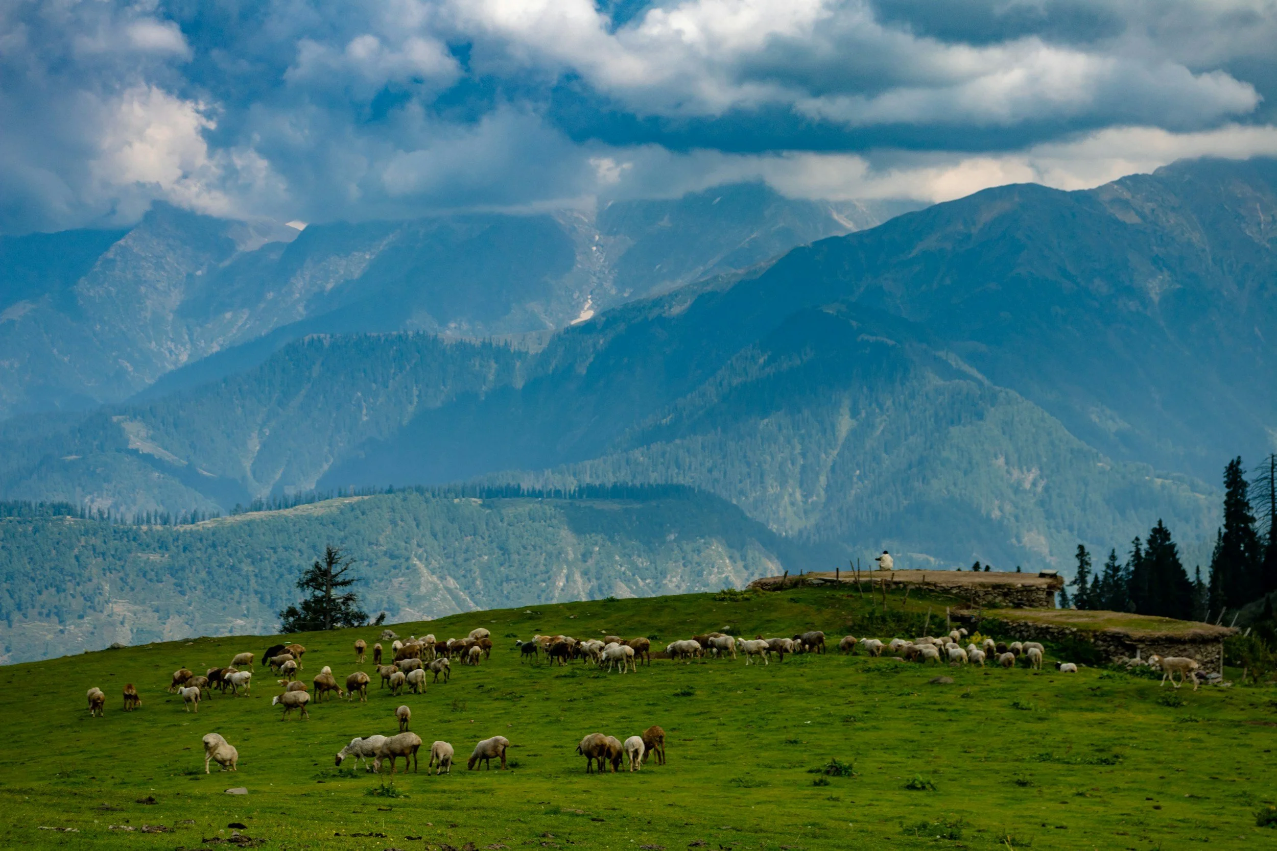 A green pasture with sheep grazing, surrounded by mountains with clouds above.