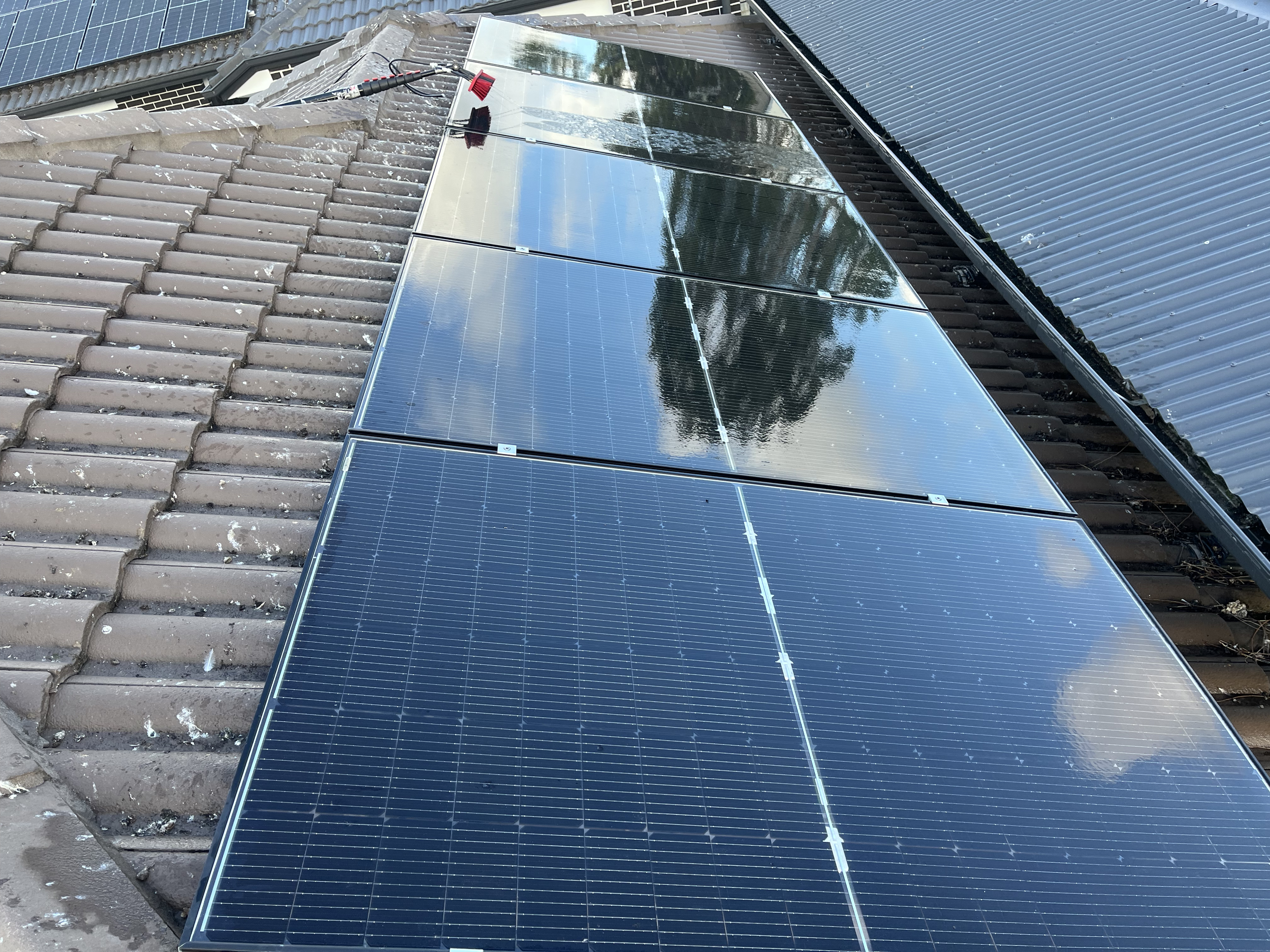 Solar panelscleaned on a tiled roof, reflecting trees and sky.