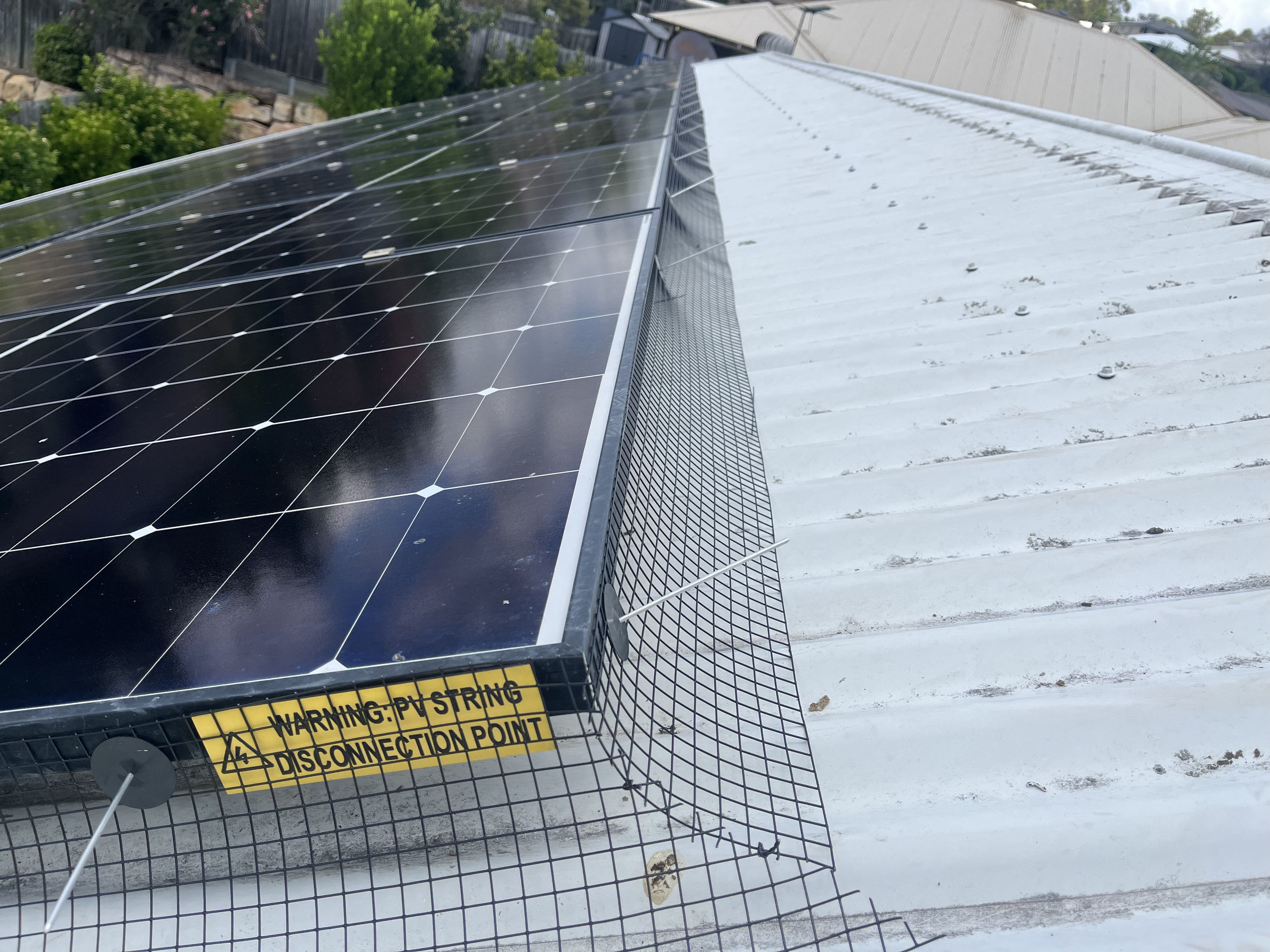 Solar panel ith bird mesh surrounding the perimeter