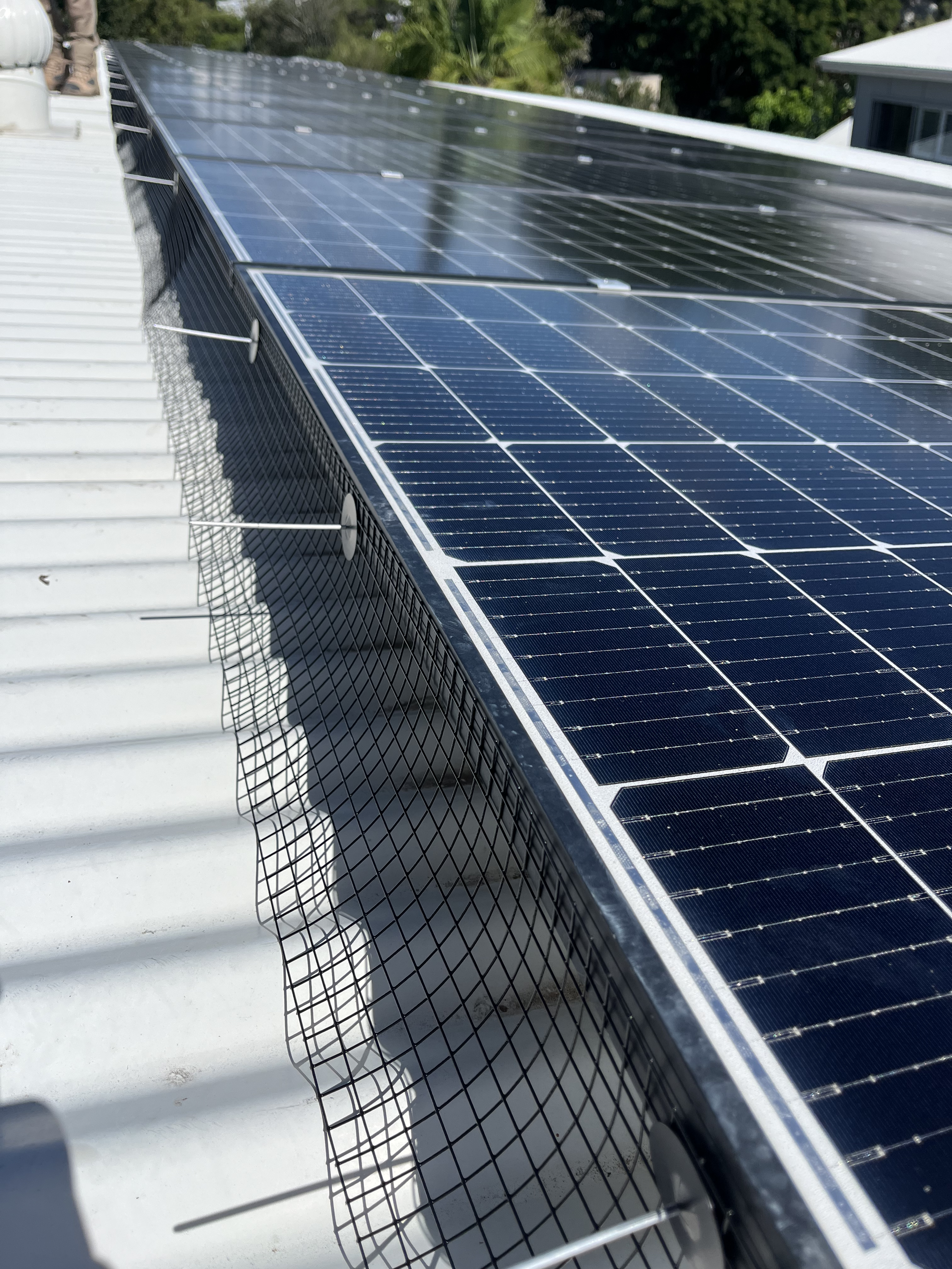 Solar panels installed on a white metal roof, with a black mesh gutter or protective cover underneath.