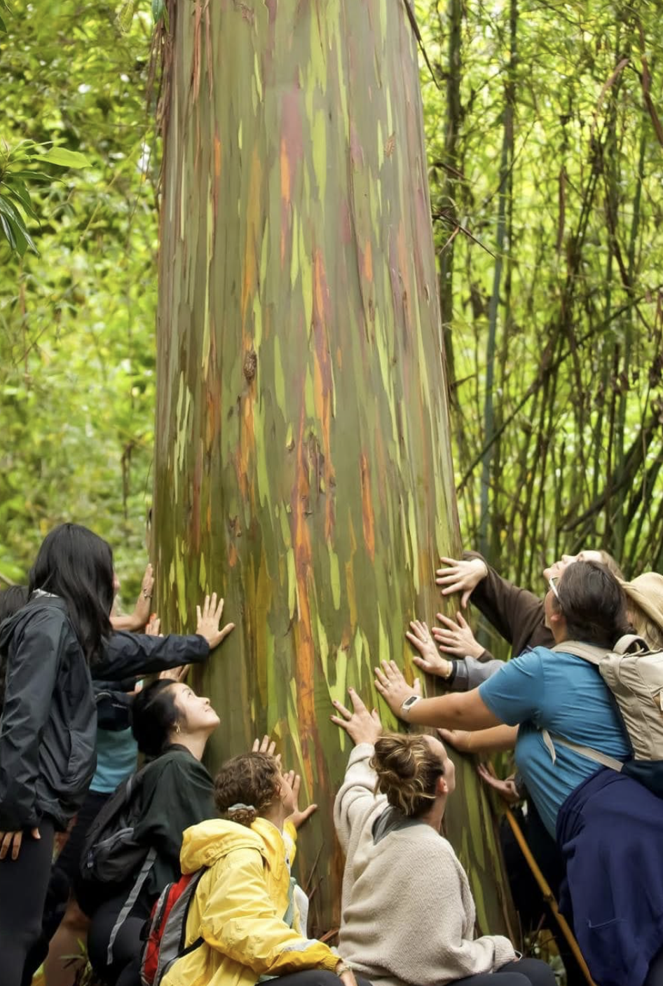 women touching tree to connect to nature and community