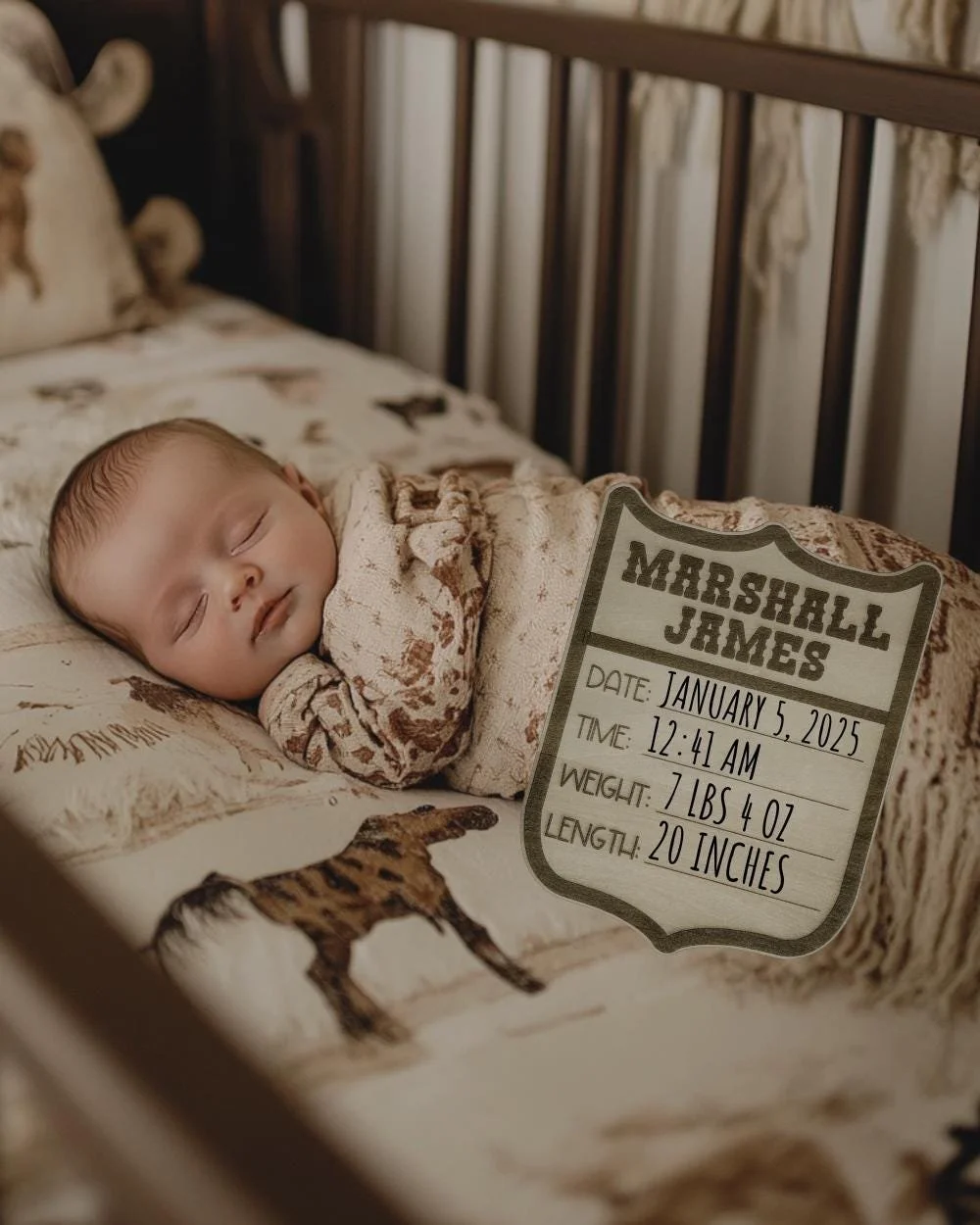Rodeo Birth Stats Sign