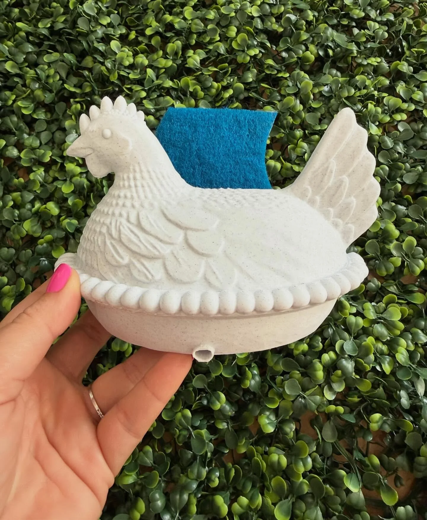 The CUTEST kitchen gadget/decor #henonanest #farmhouse #kitchen