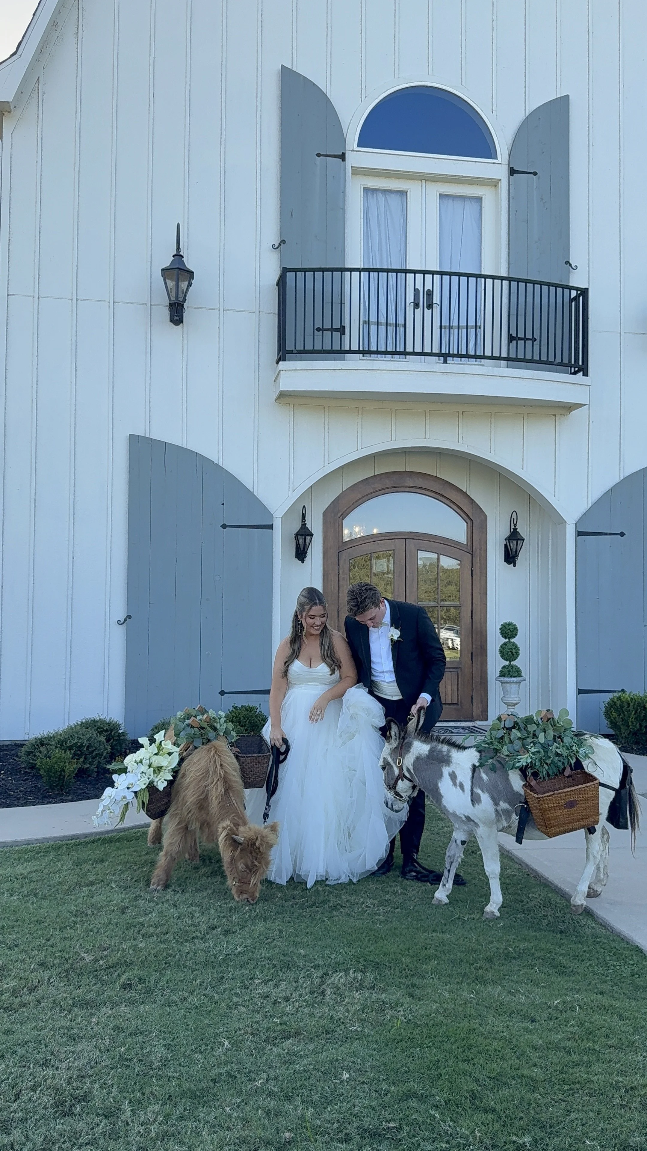 A bride and groom in wedding attire standing outside a large white house with blue shutters, holding leashes of two decorated animals, a small donkey and a dog, carrying baskets of flowers.