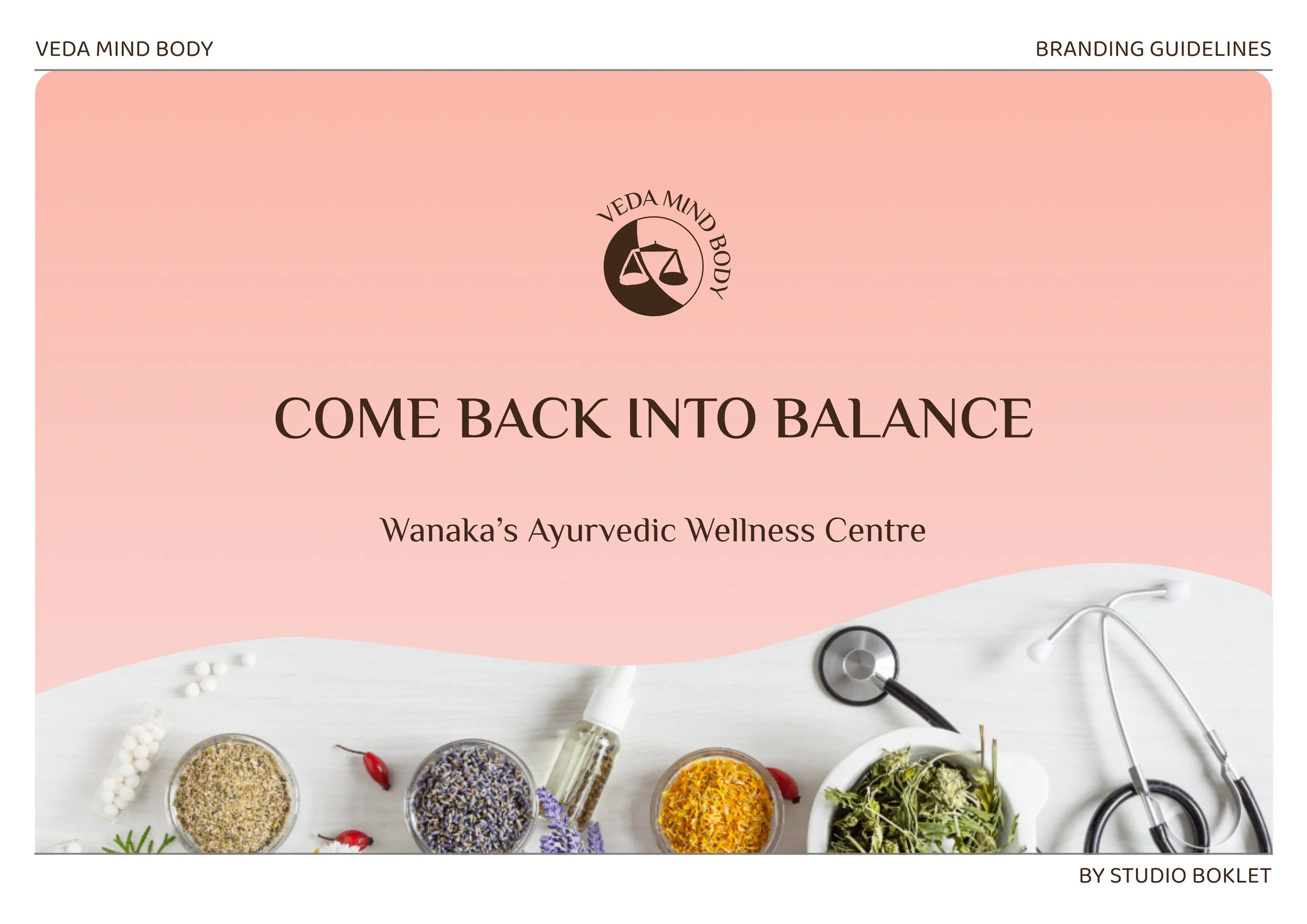 VedaMindBody_BrandGuides_01.jpg