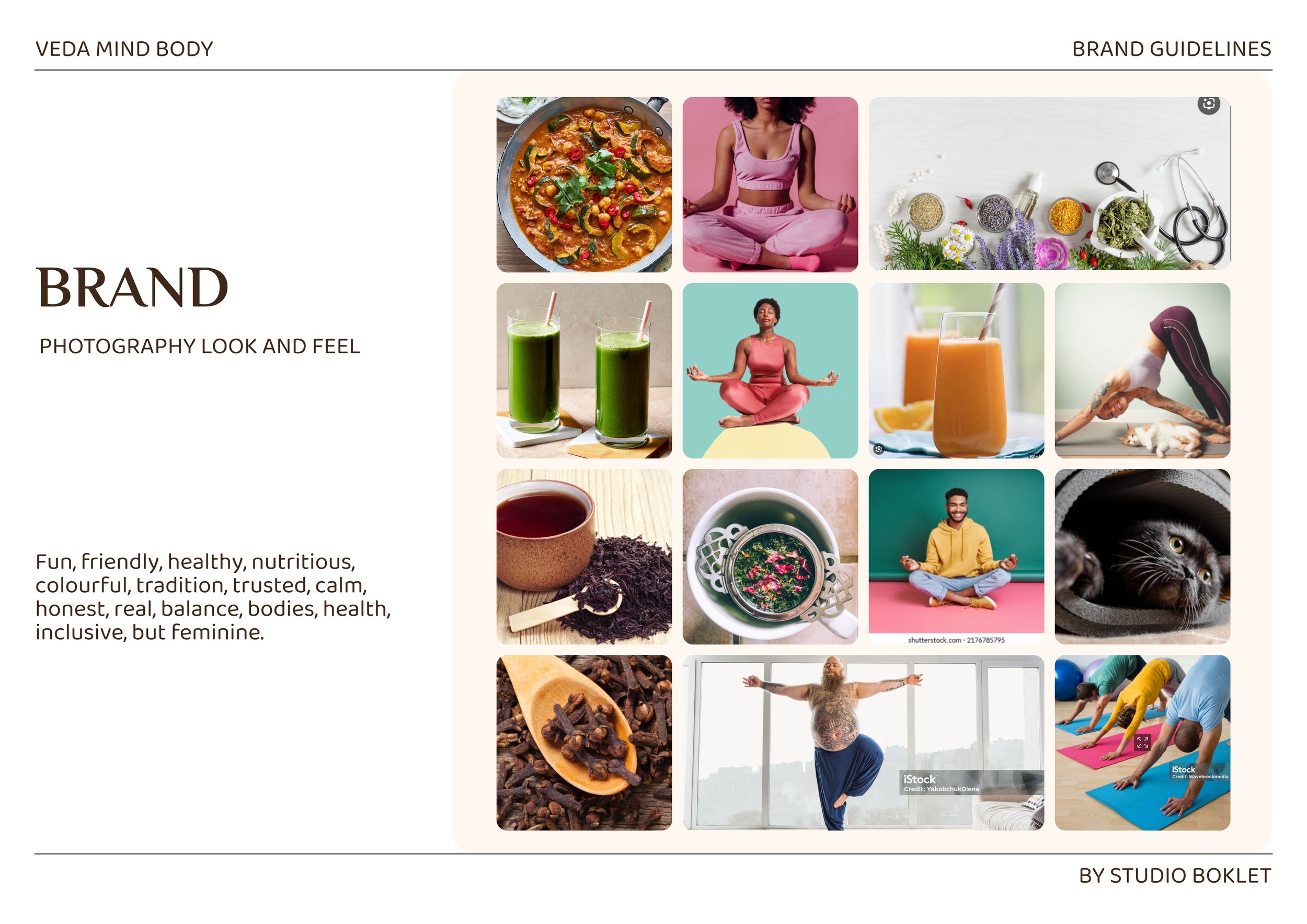 VedaMindBody_BrandGuides_10.jpg