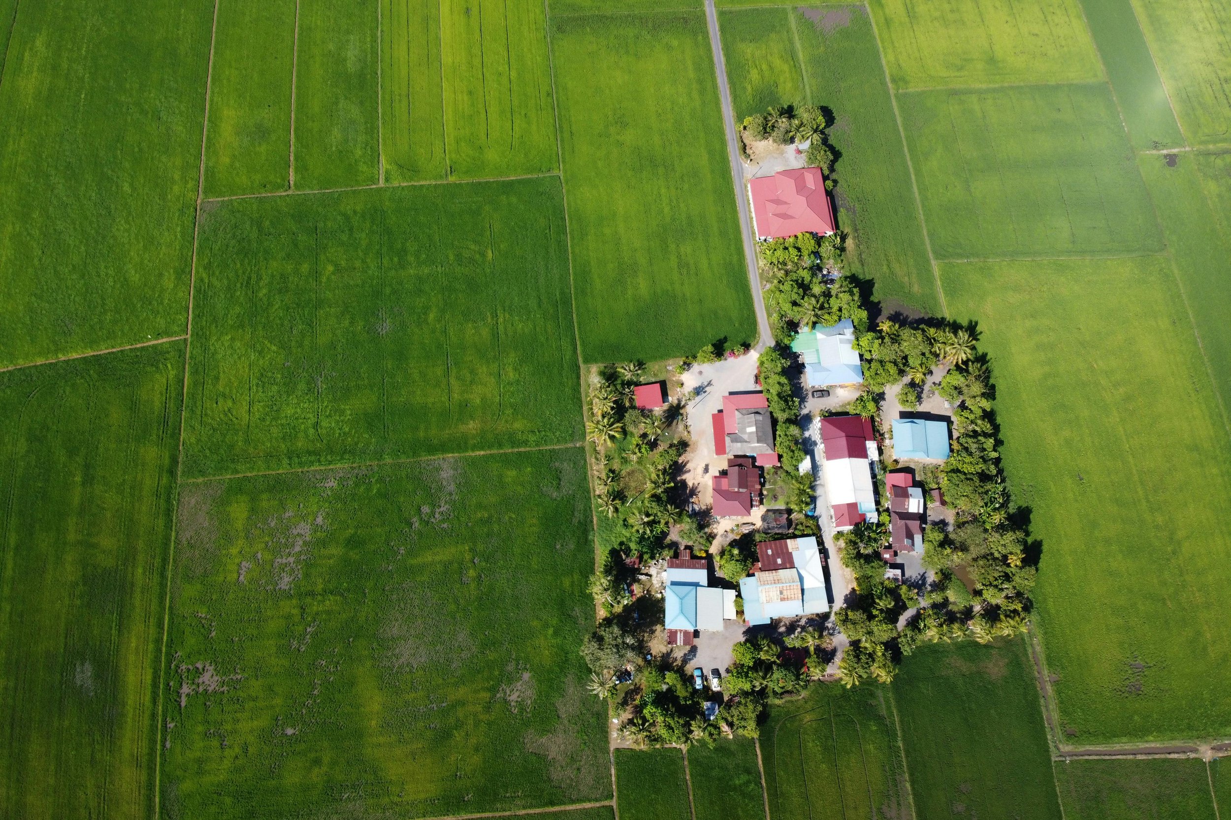 Aerial view of a small residential area surrounded by green farmland, with various buildings and trees.