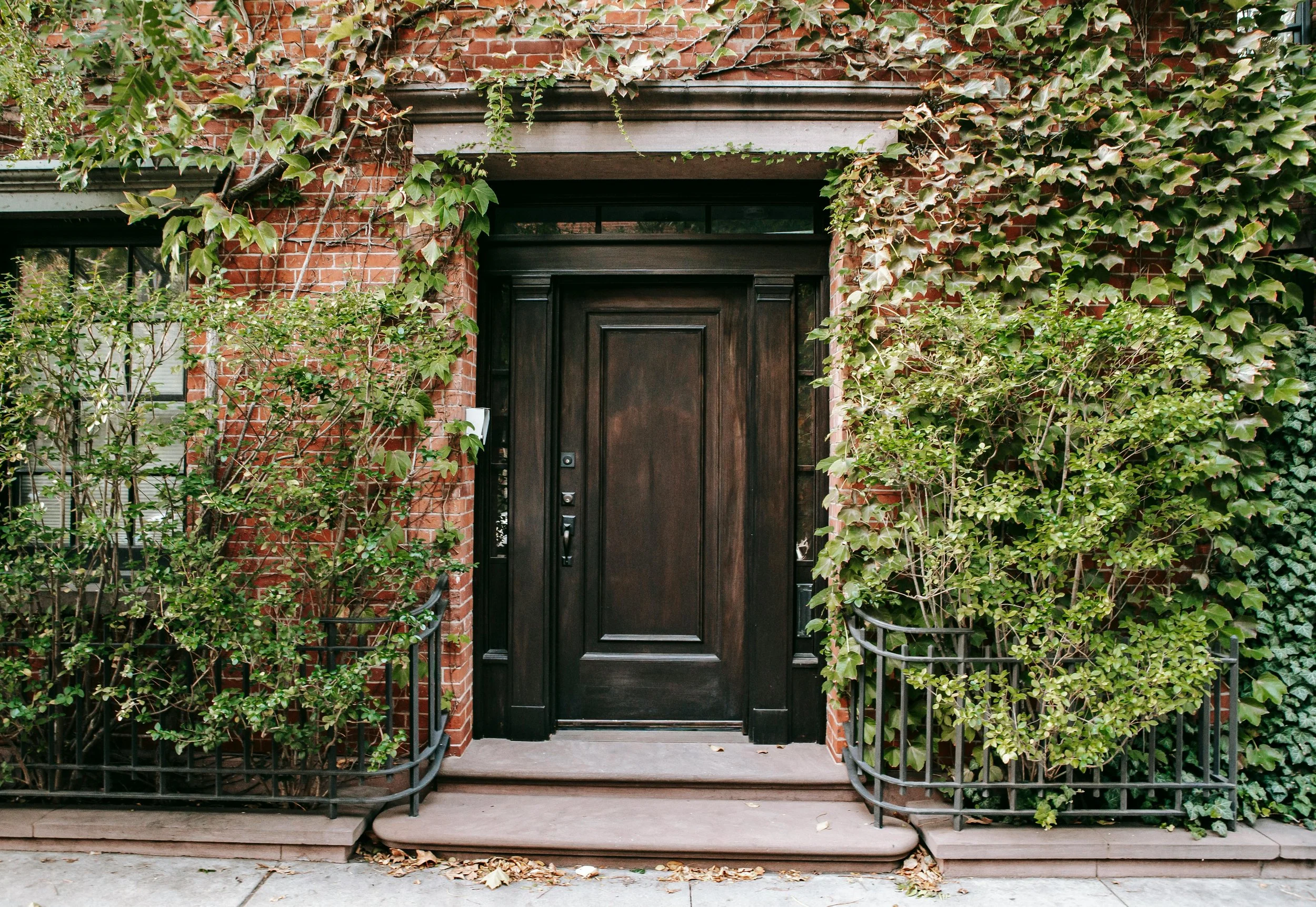 A black wooden entrance door on a red brick building, flanked by green ivy and bushes, with a small porch and steps leading up to it.