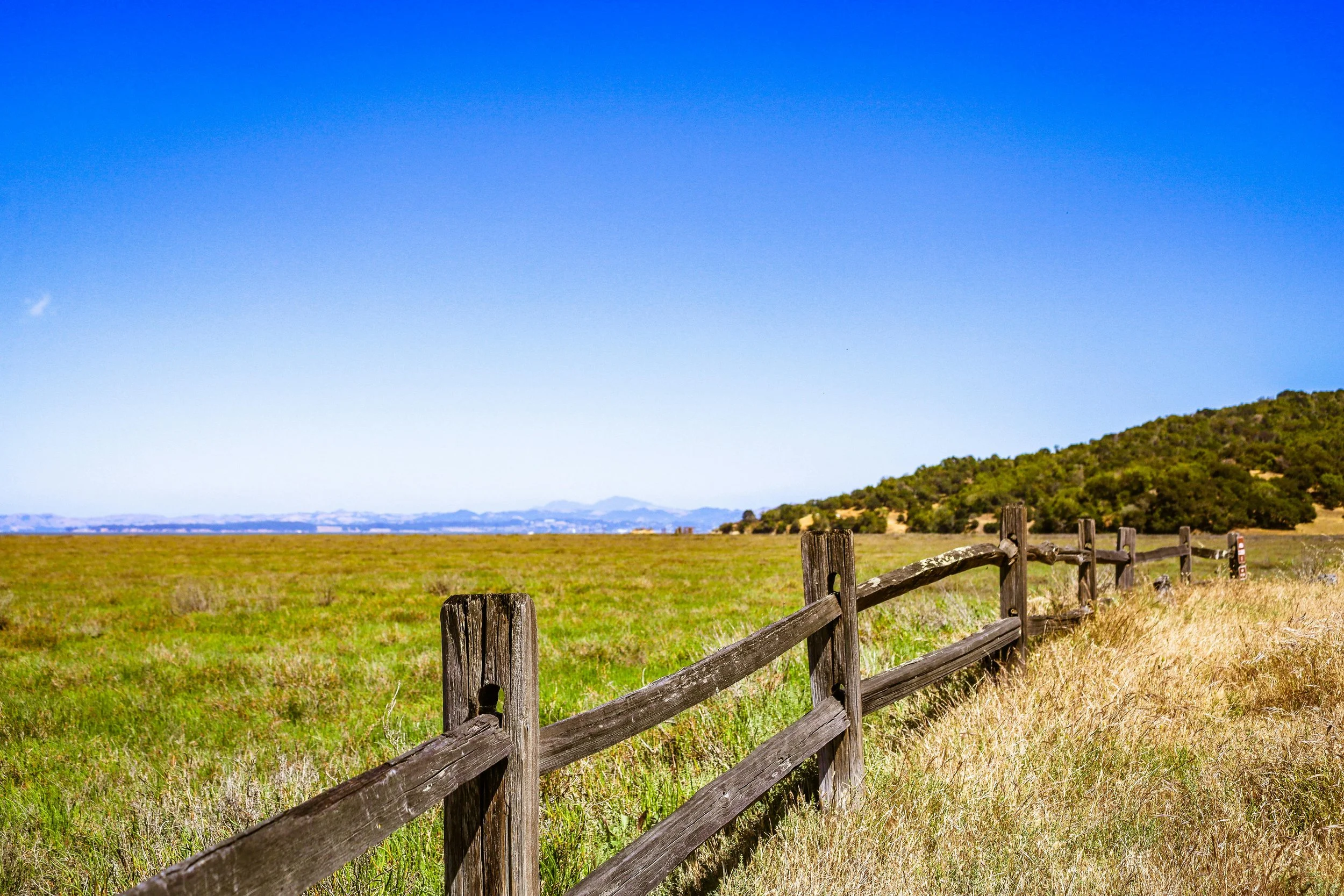 A rural landscape with a wooden fence running along a grassy field, a hill covered with trees on the right, and a clear blue sky overhead.
