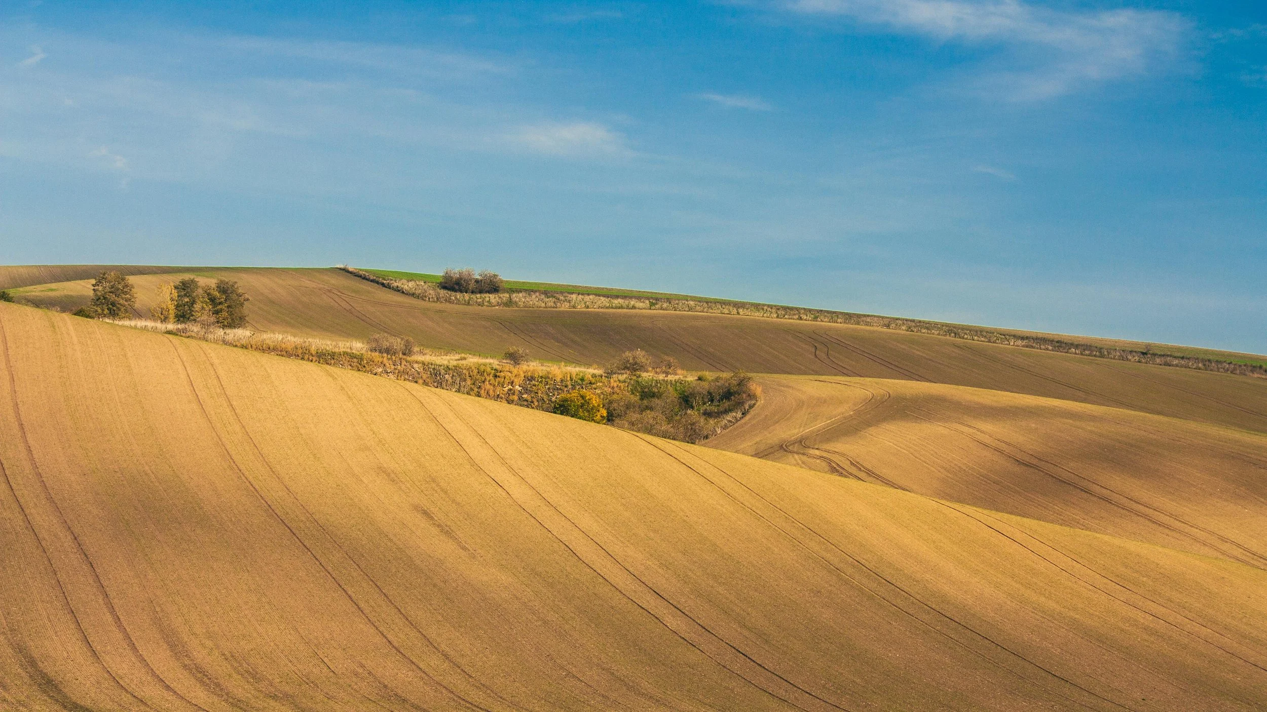 Rolling hills of farmland with patches of trees under a blue sky.