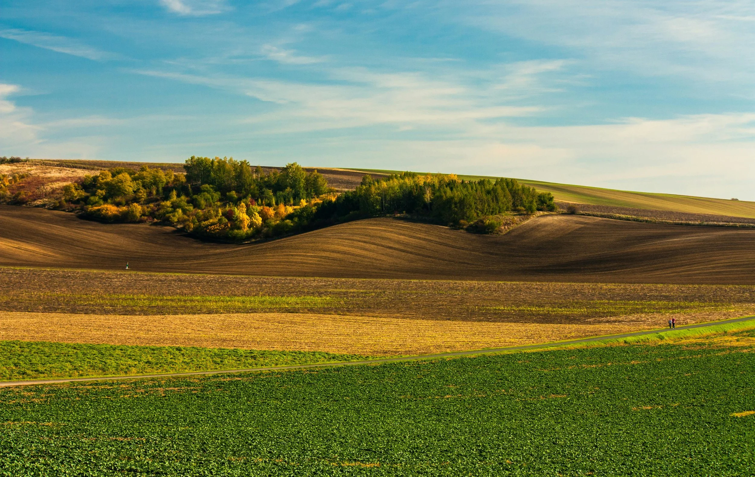A scenic landscape of rolling hills, fields, and trees under a partly cloudy sky, with two people walking along a dirt path in the distance.