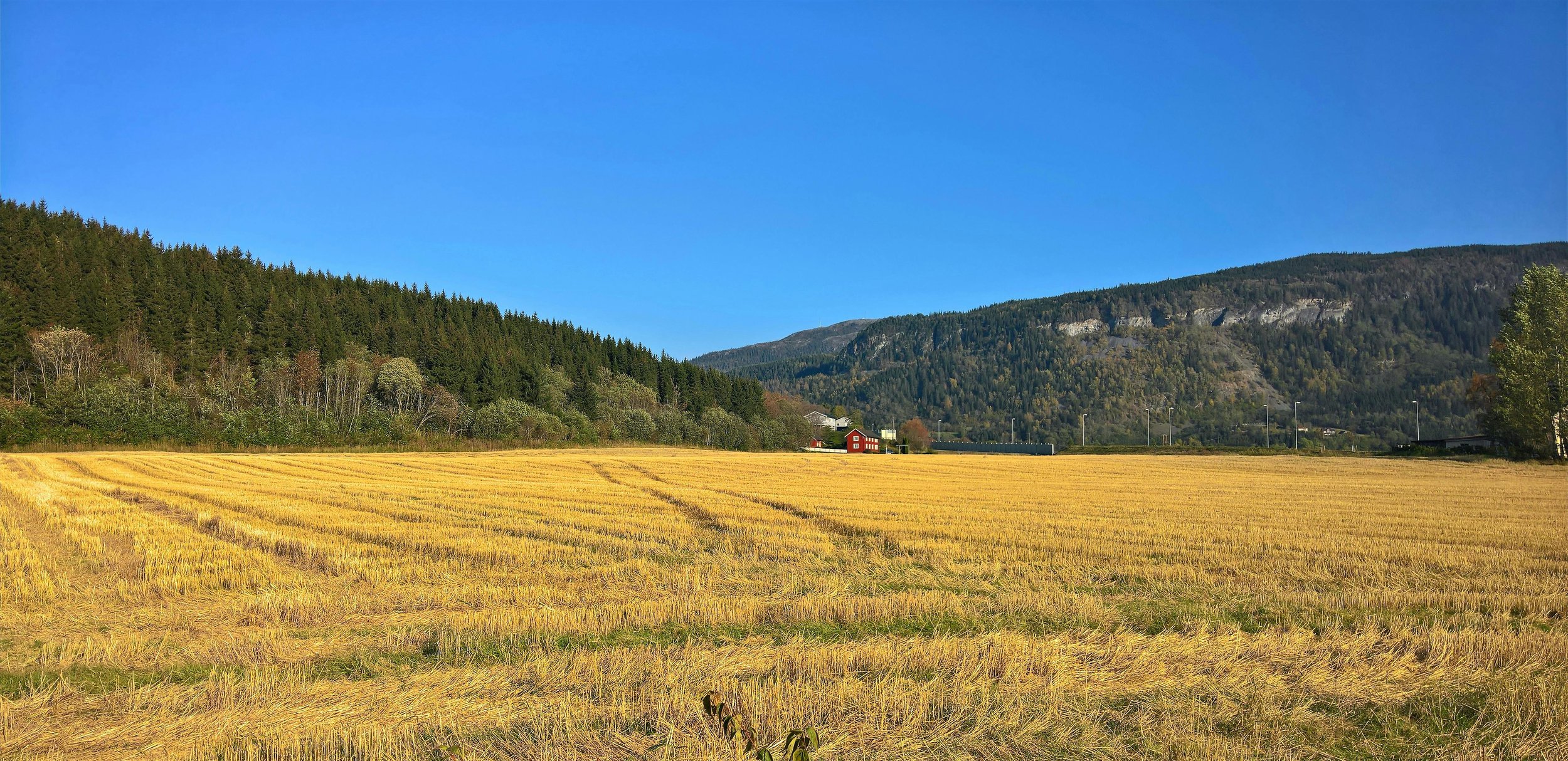 Open field of harvested crops, surrounded by trees and hills under a clear blue sky.