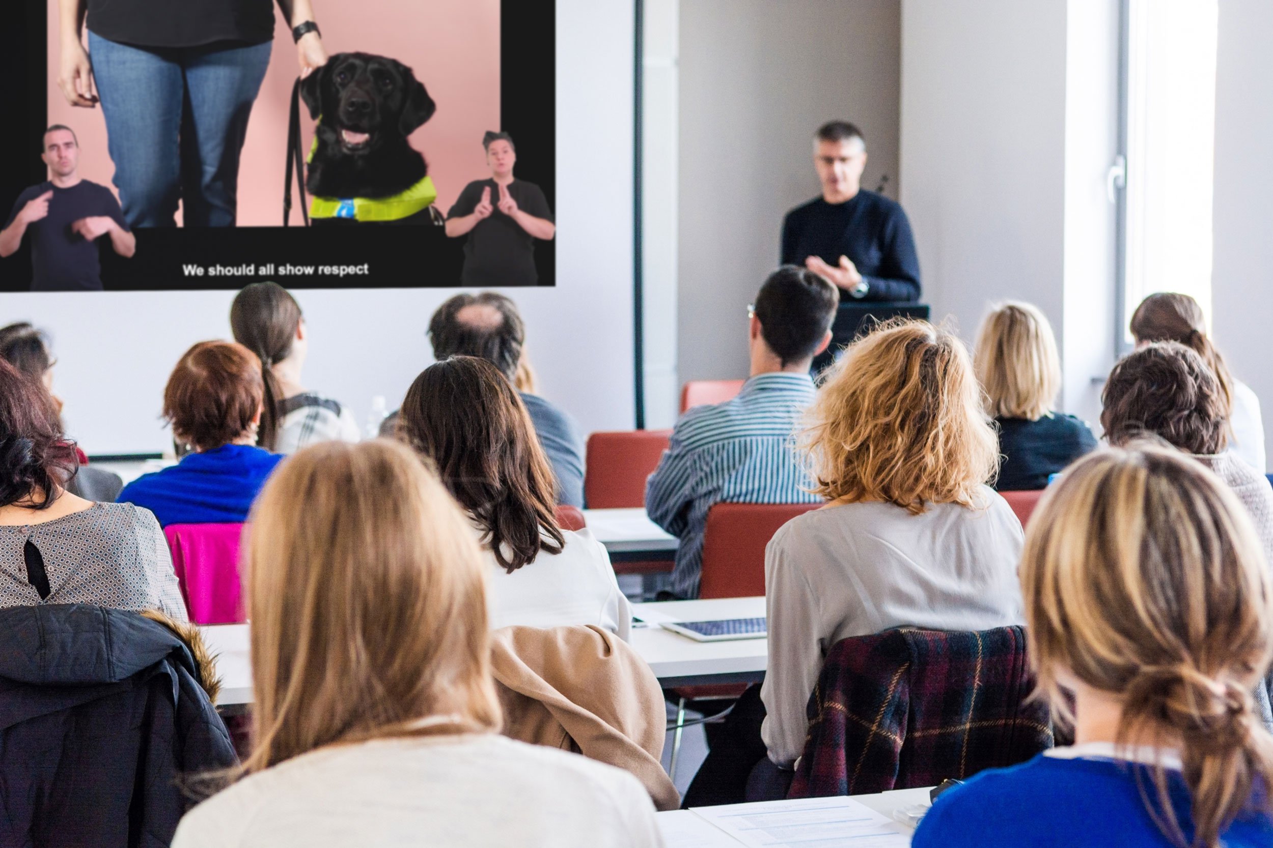 Image showing a group of people watching our disability equality training video on a wall mounted projector screen.
