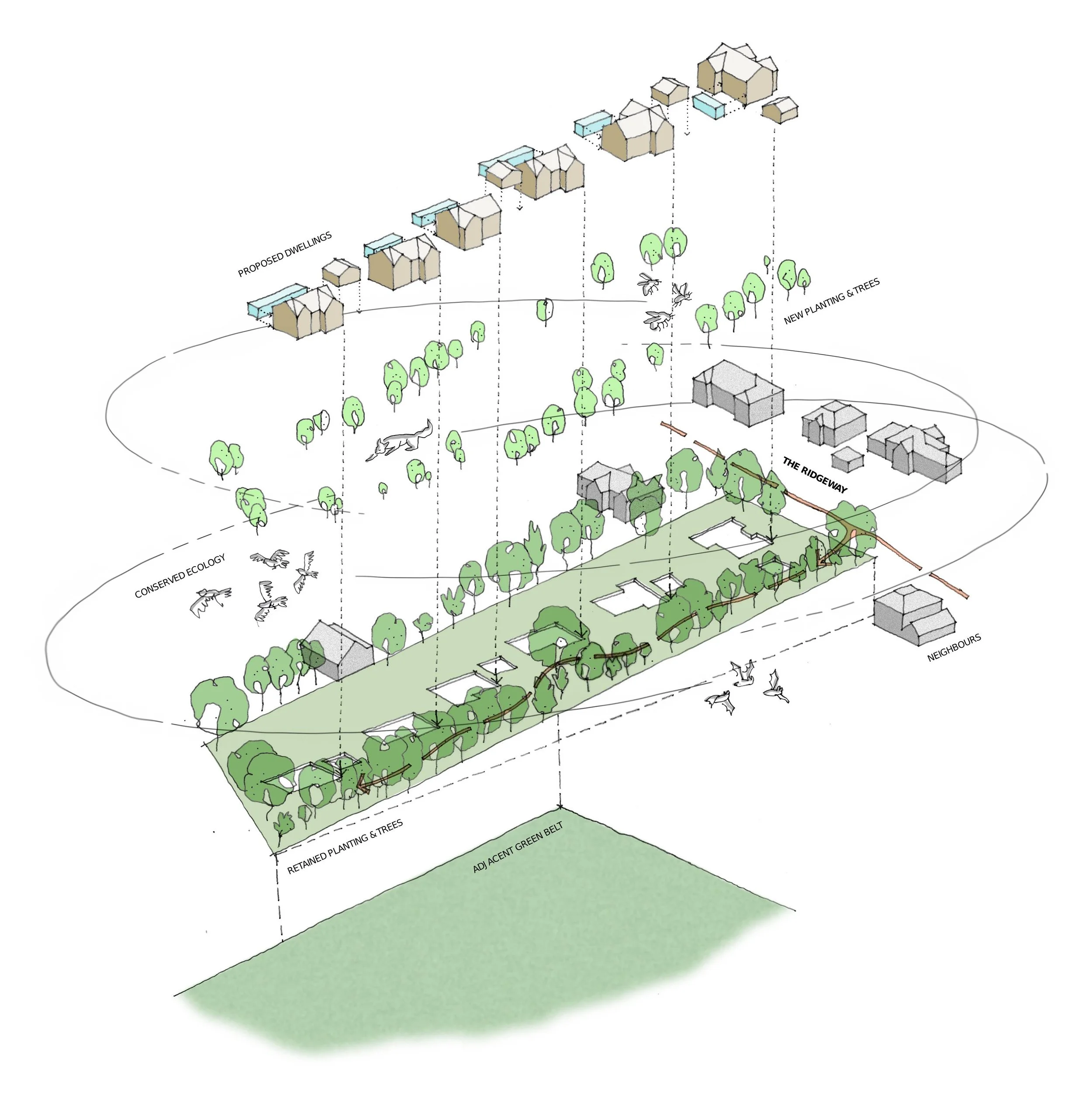 Diagram of a community landscape with retained trees, new planting, proposed dwellings, and ecological preservation, highlighting green pathways and neighborhood separation.