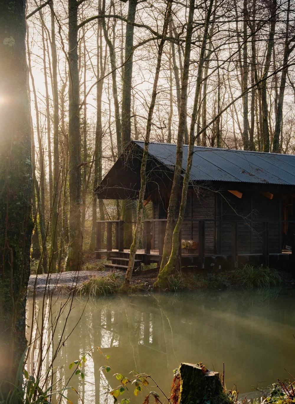 A wooden cabin with a metal roof is situated next to a small body of water in a forest during sunset. The trees are mostly leafless, and the water has a misty appearance.