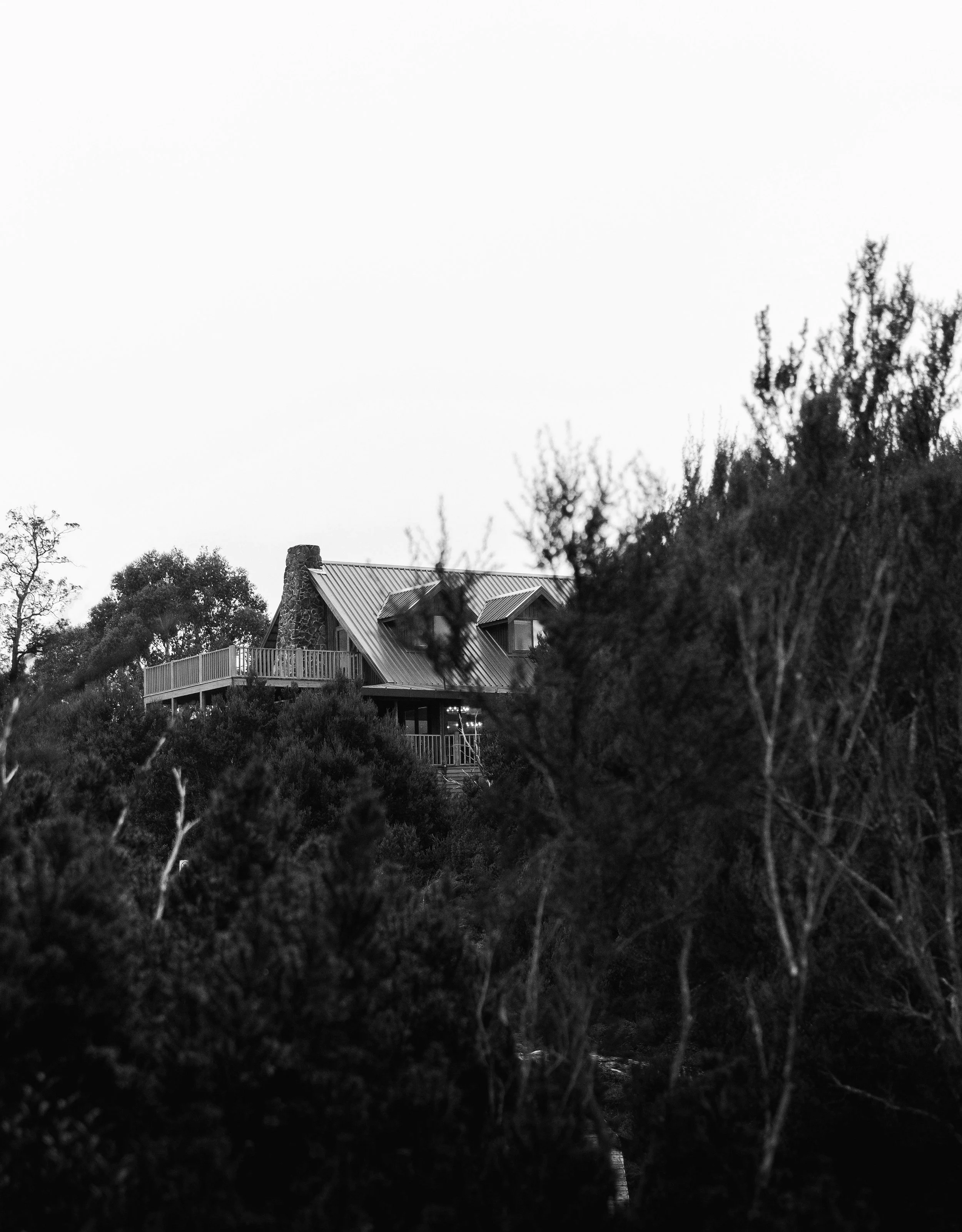 Black and white photo of a house on a hill surrounded by trees and bushes.