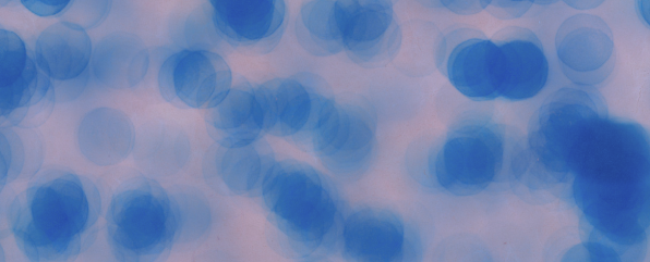 particles under a microscope