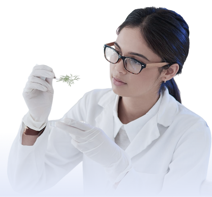 A student examining a sample
