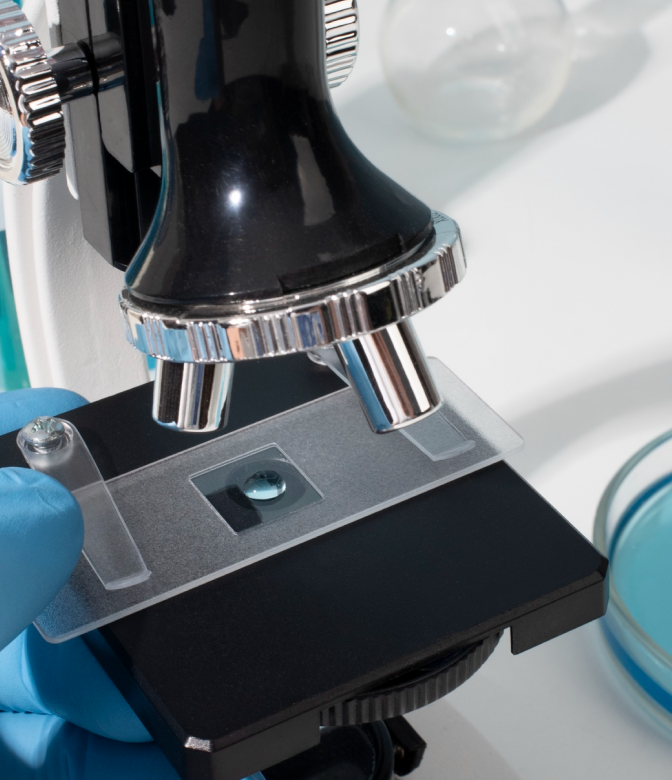 A slide with a sample on a microscope