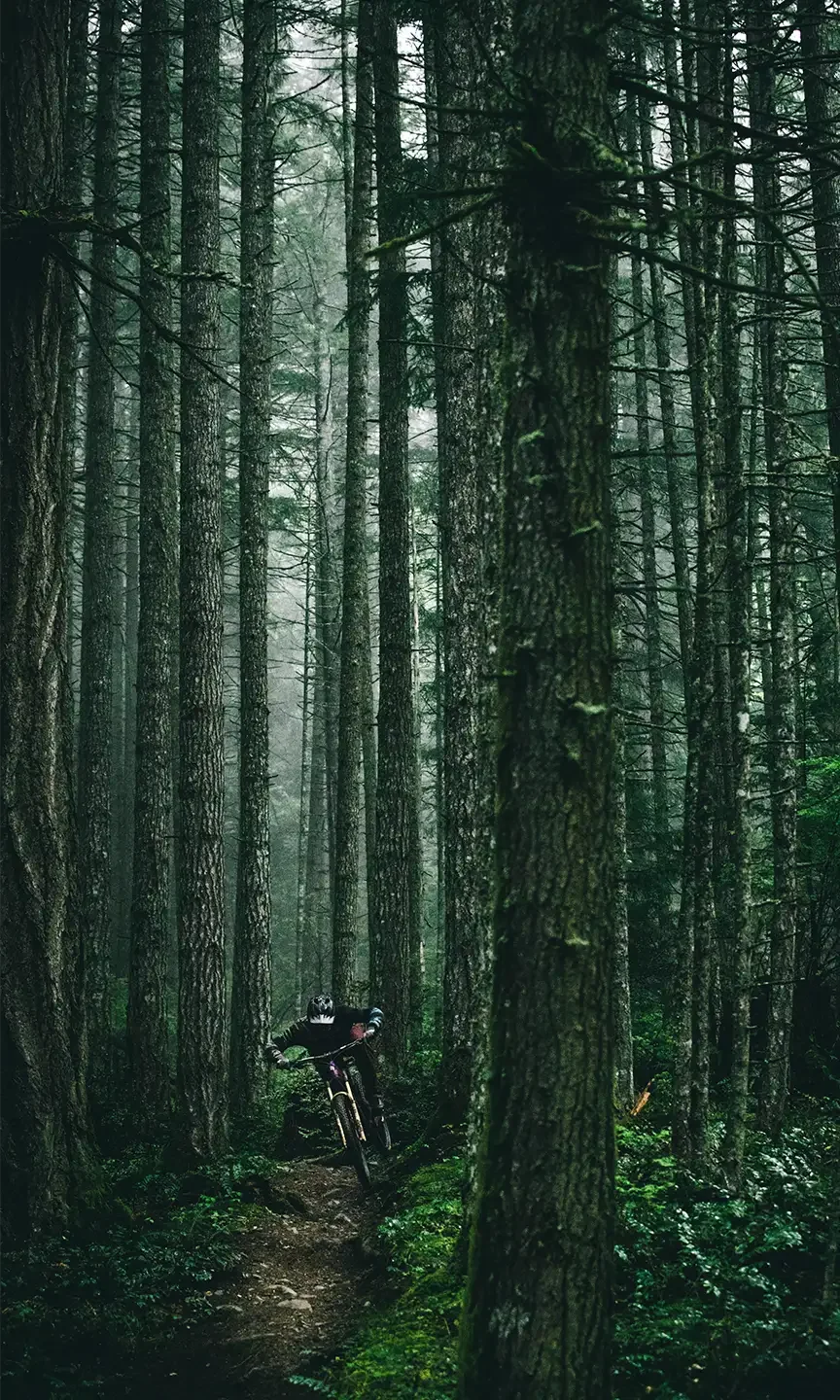 Mountainbiker in Action auf einem Wald Trail