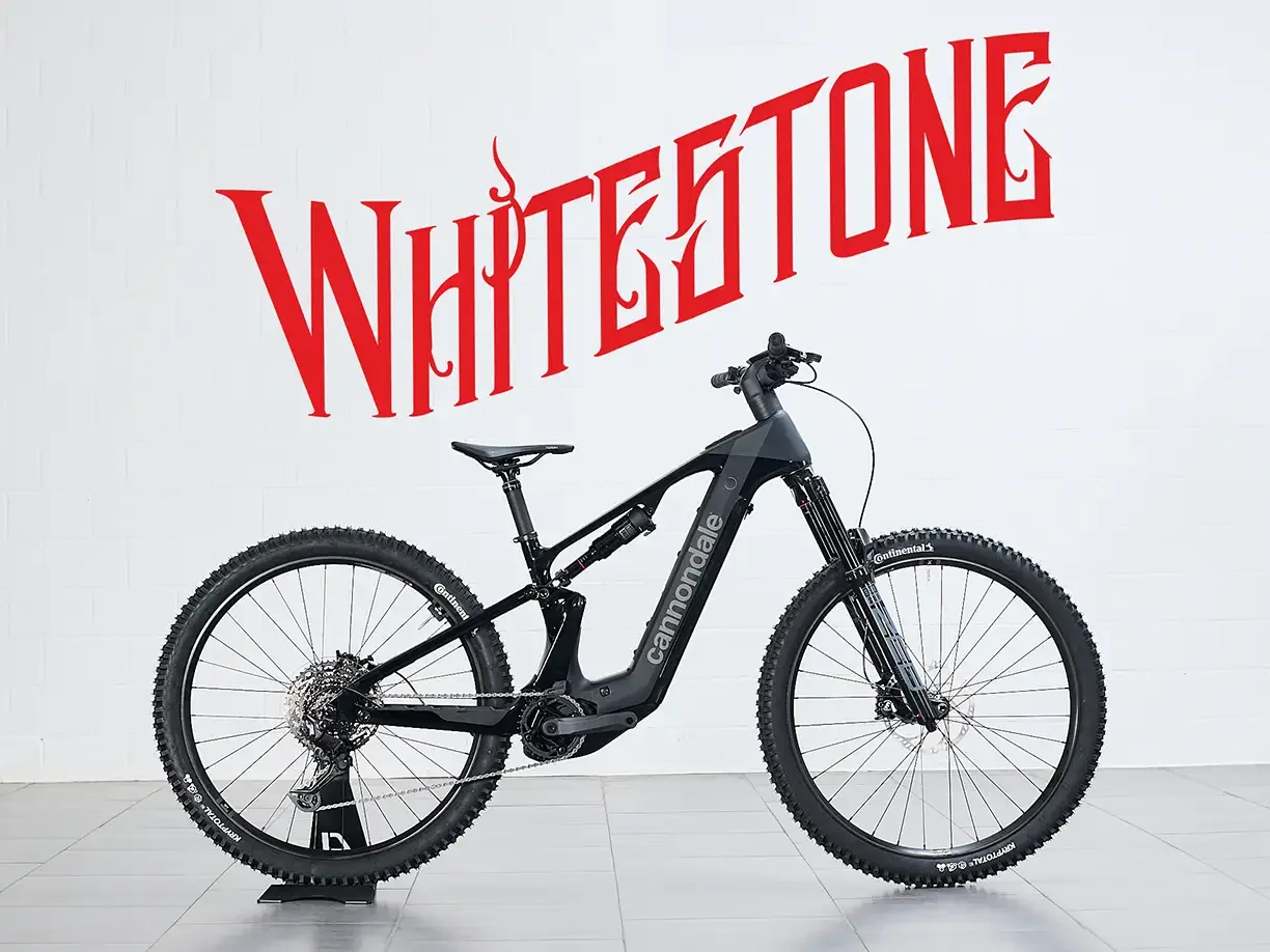 Moterra 2 Carbon (E-Bike) Gr.M
CHF 6'999.–