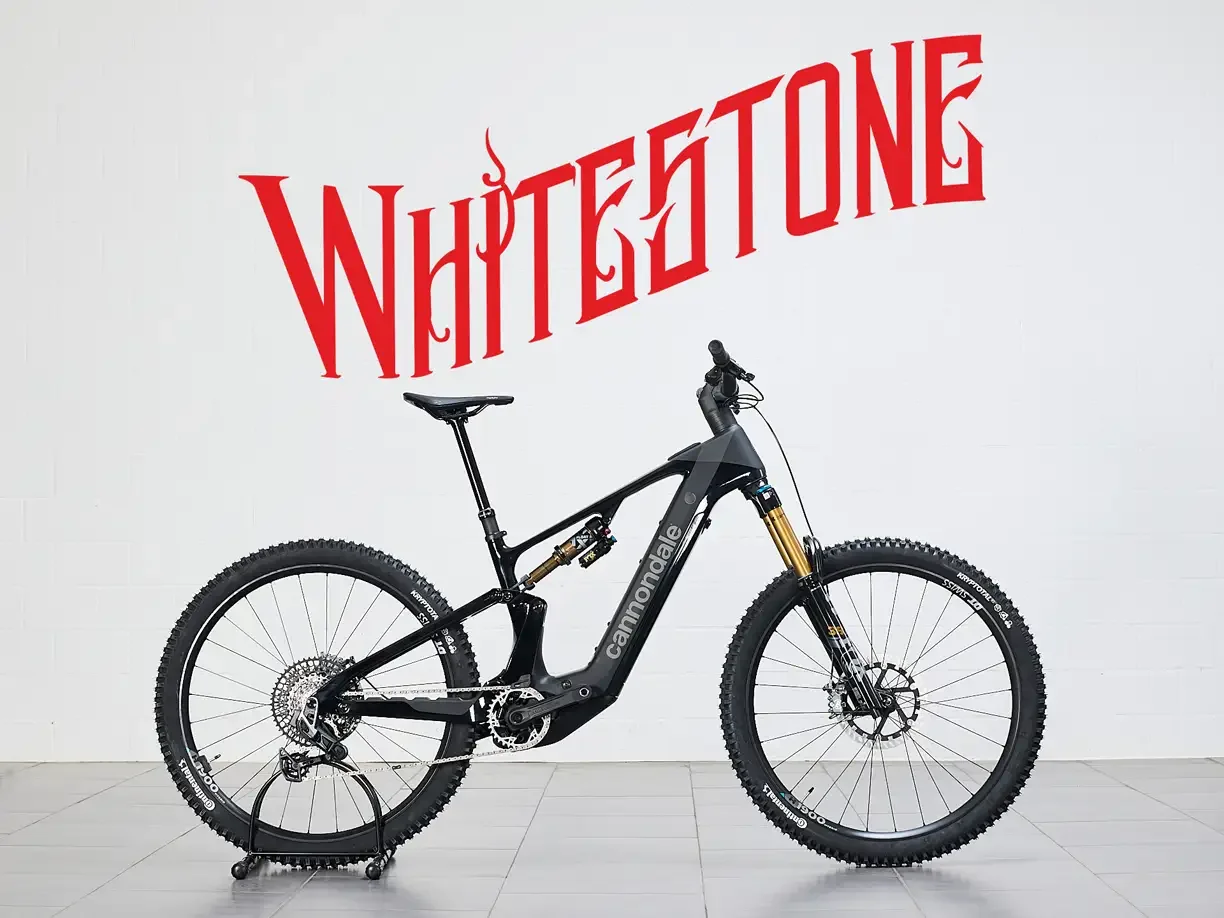 Moterra 1 Carbon Gr.L CHF 8'799.–