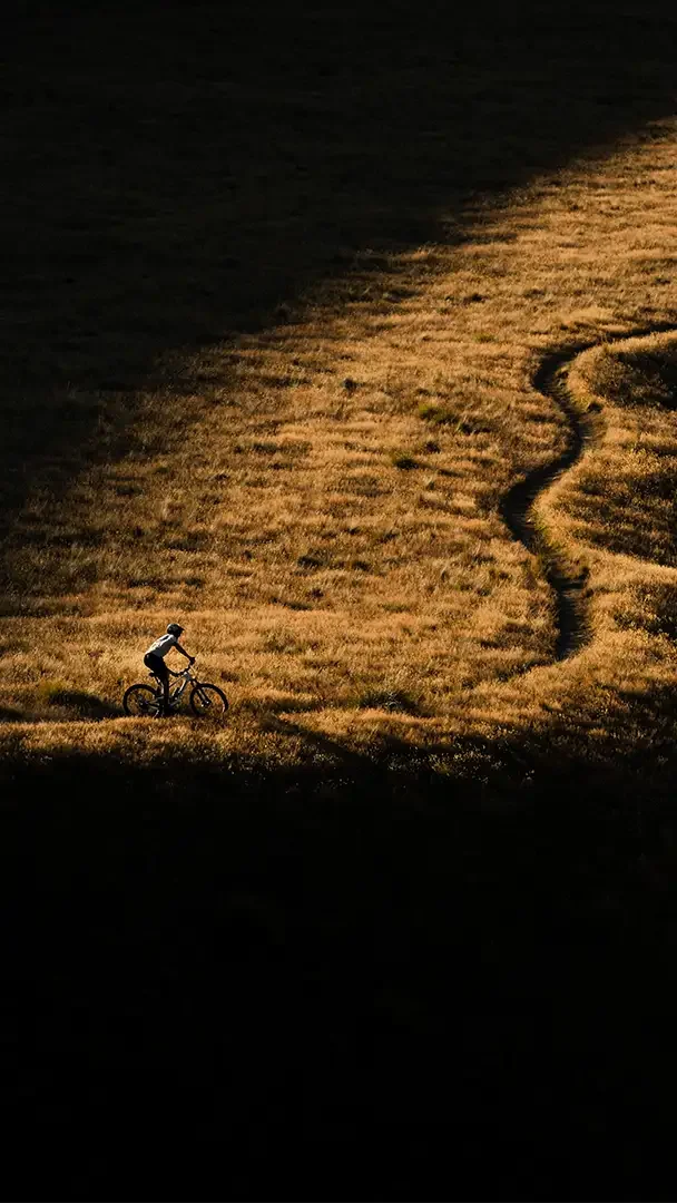 Eine Person fährt auf einem Santa Cruz auf einem gemütlichen Trail