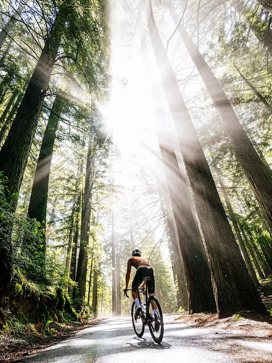 Biker fährt locker durch den Wald