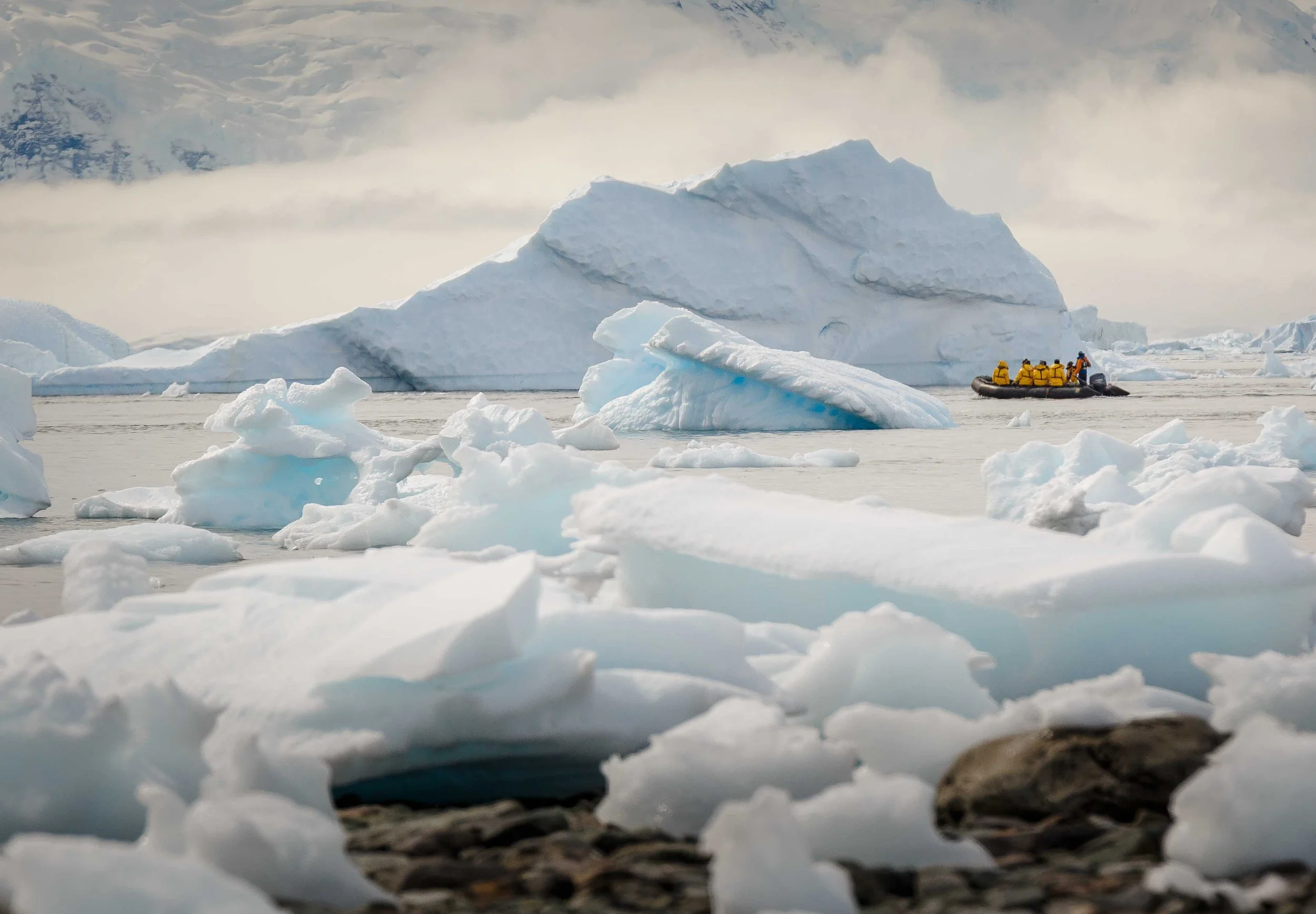 Antarctica Matters