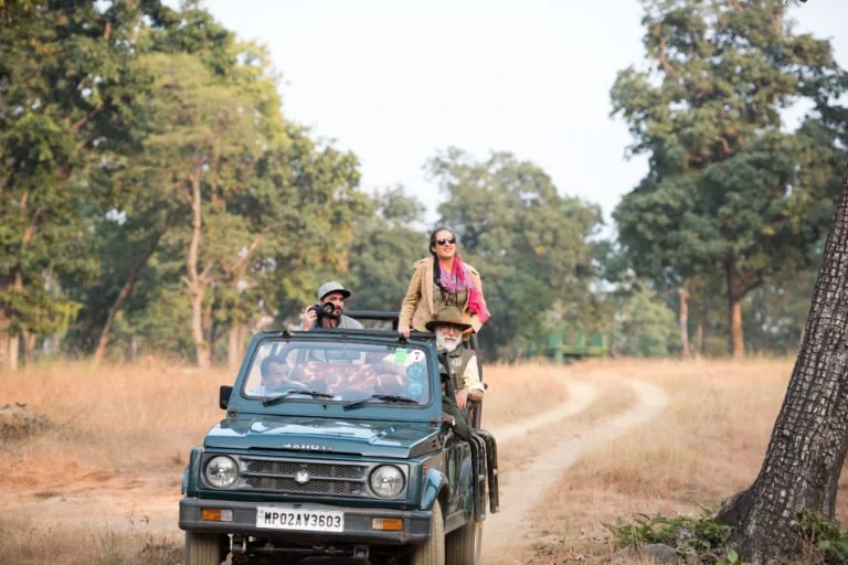 Satpura National Park: Luxury Safari to the Heart of India