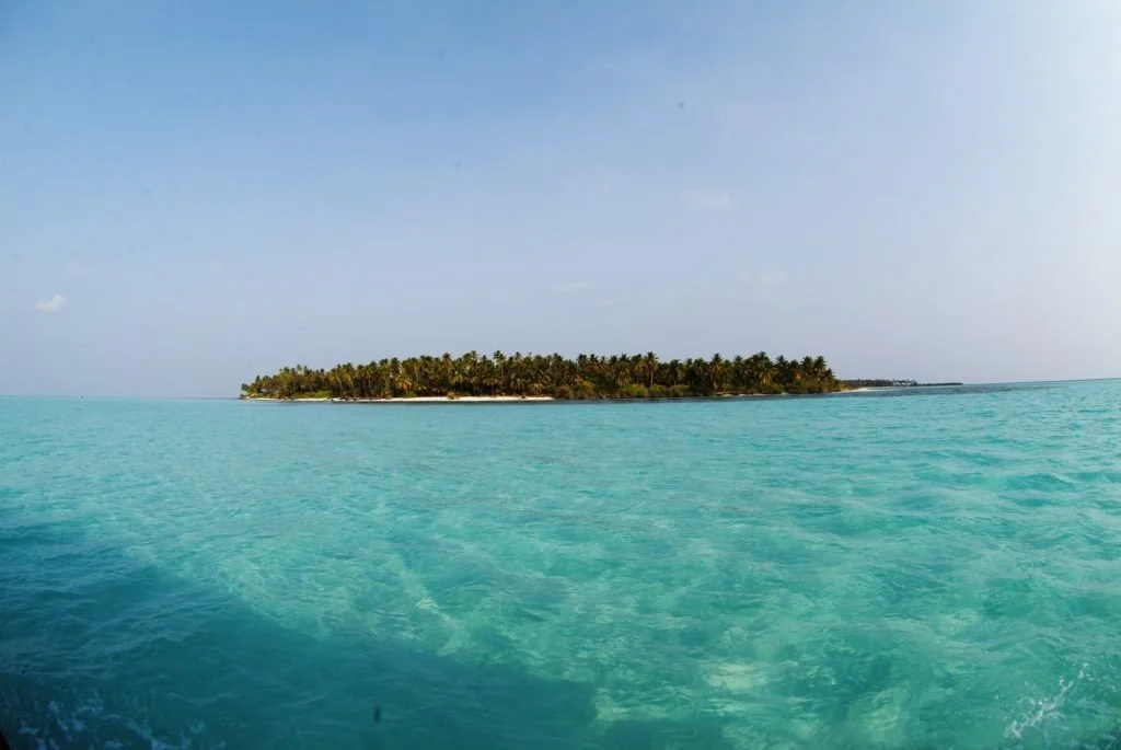 World Oceans Day 2019