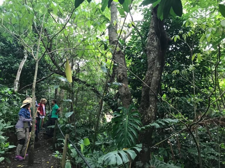 Costa Rica’s Finca Rosa Blanca: Paradise for the Conscious Traveler
