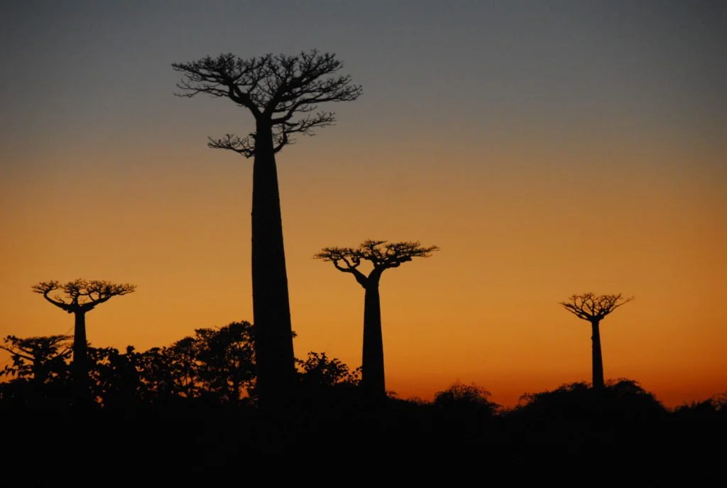 10 Places on Earth that Feel Like Outer Space