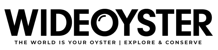Wideoyster.png
