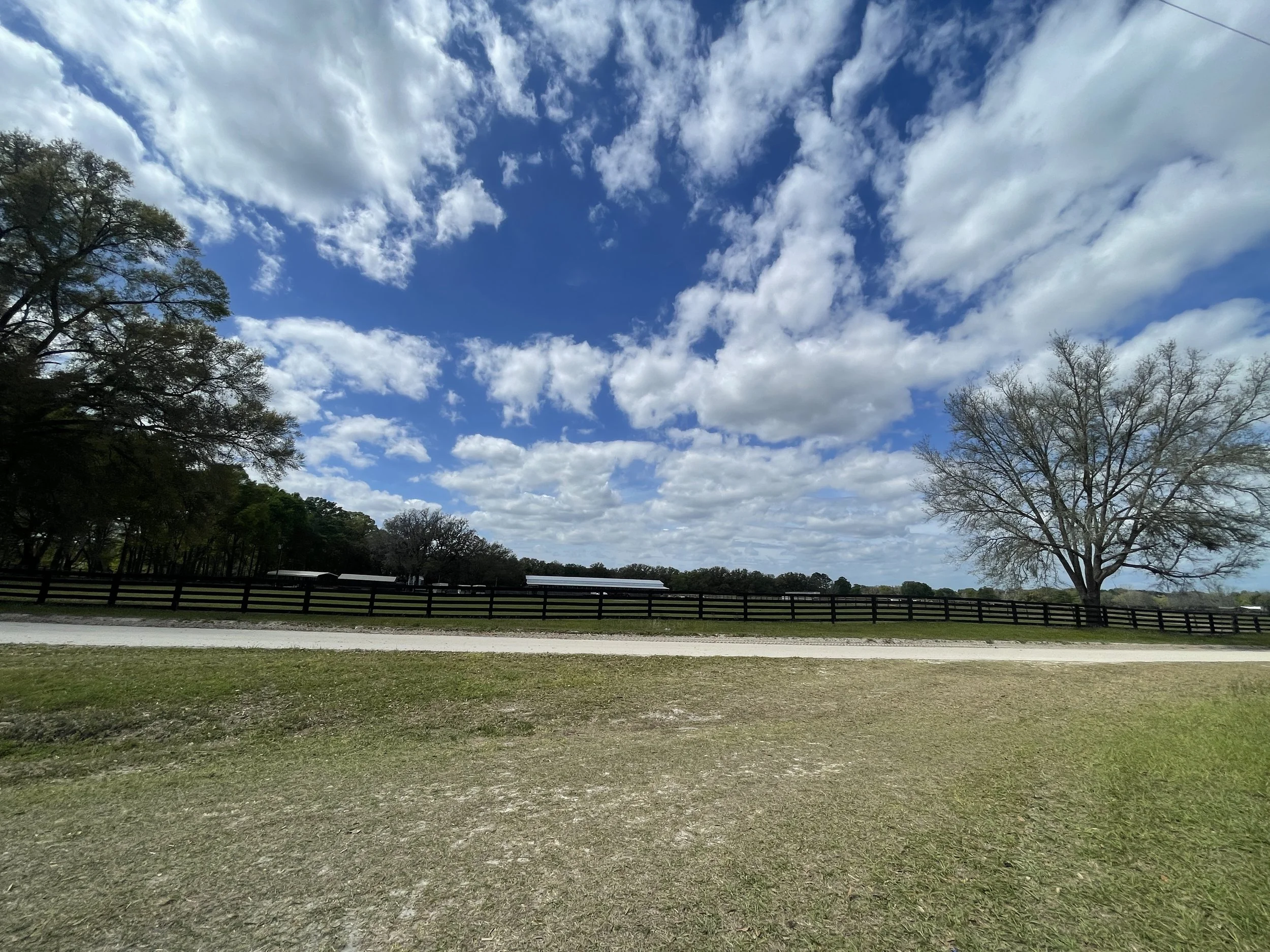 Wide-angle view of the surrounding property featuring a fenced-in bull ranch, lush green grass, and bright blue skies with white fluffy clouds for a peaceful country living experience.