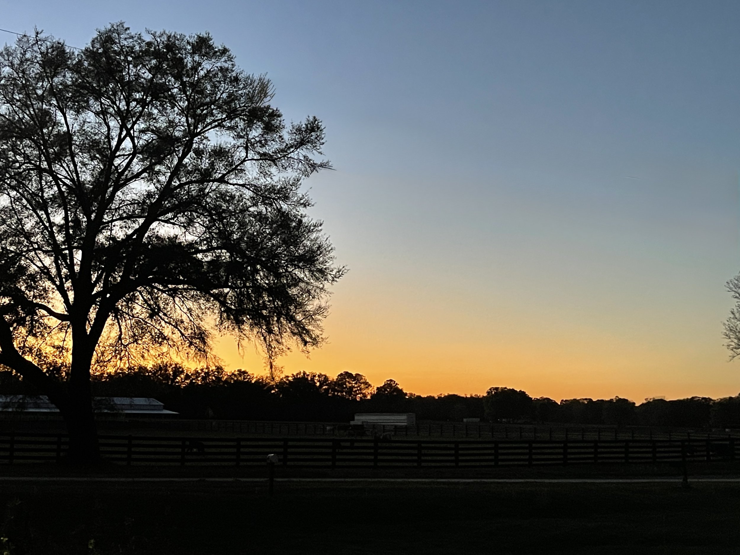 Golden sunset over a North Florida country side seen from a private porch, featuring a rustic fence and the silhouette of an old oak tree.