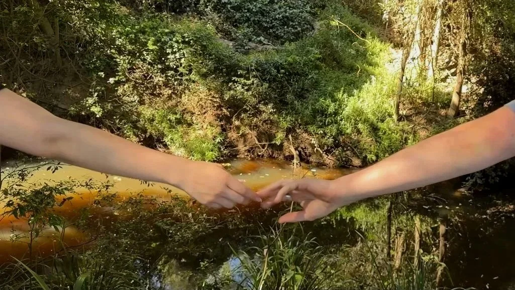 Two hands reaching out to each other over a small river or creek in a wooded area.