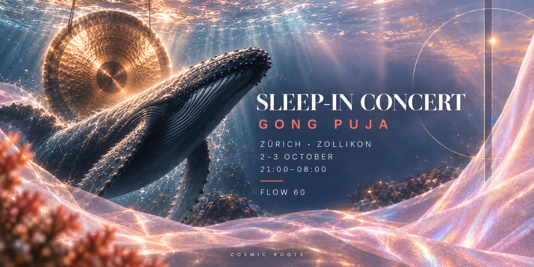 Sleep-In Concert: Gong Puja at Zurich
