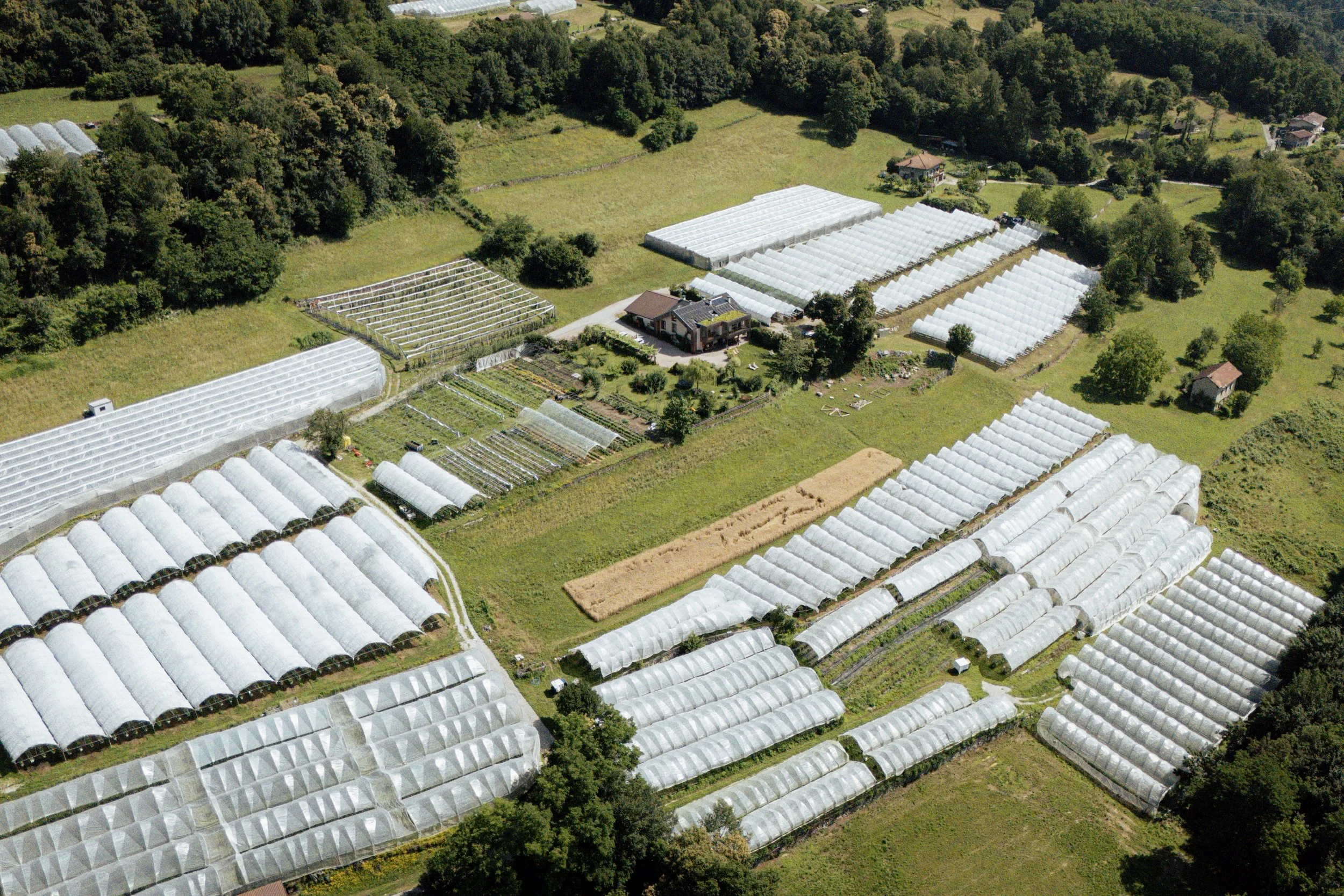Un agriturismo visto dall'alto con tutti i terreni agricoli intorno
