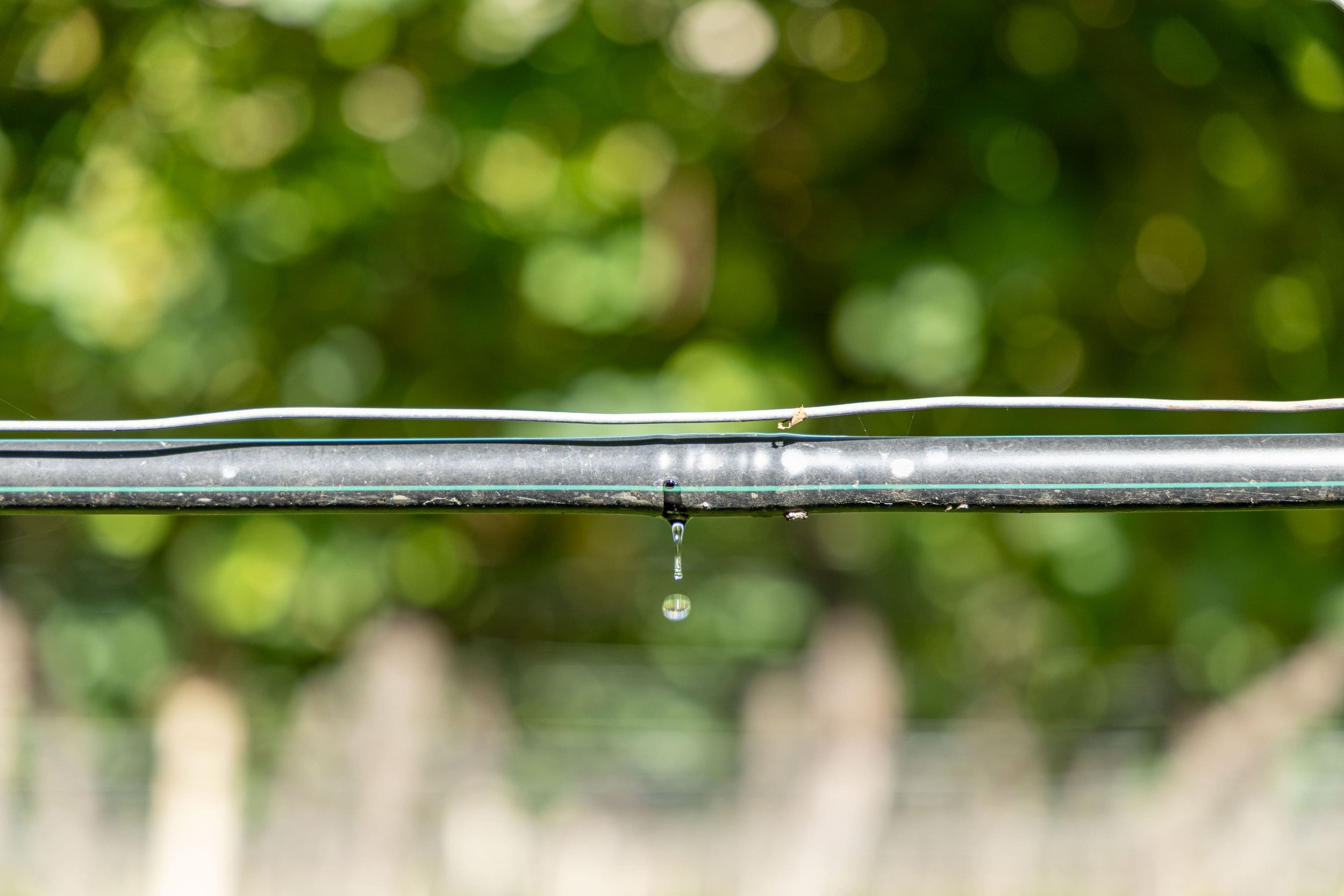 ACQUA FONTE DI VITA, ACQUA BENE COMUNE