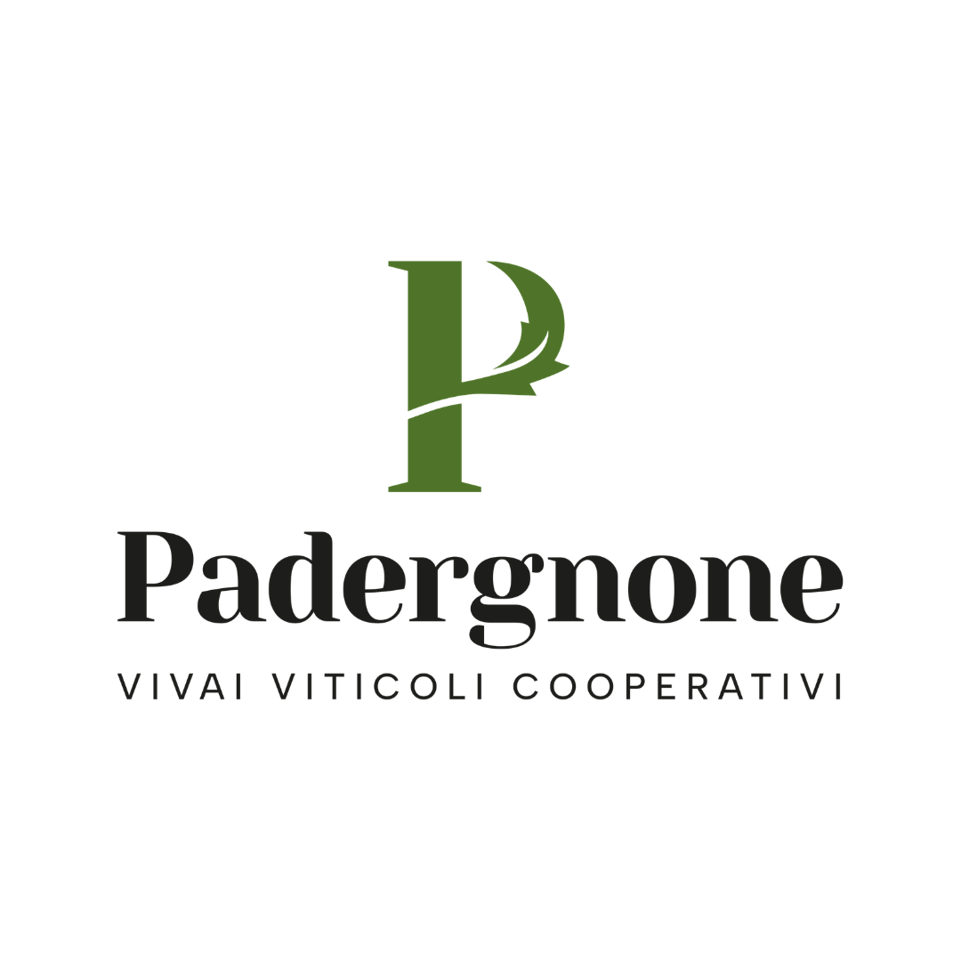 Logo con una grande lettera P verde, con un motivo di foglia, e la parola 'Padergallo' in nero sotto, con la scritta 'VIVAI VITICOLI COOPERATIVI' in carattere più piccolo.