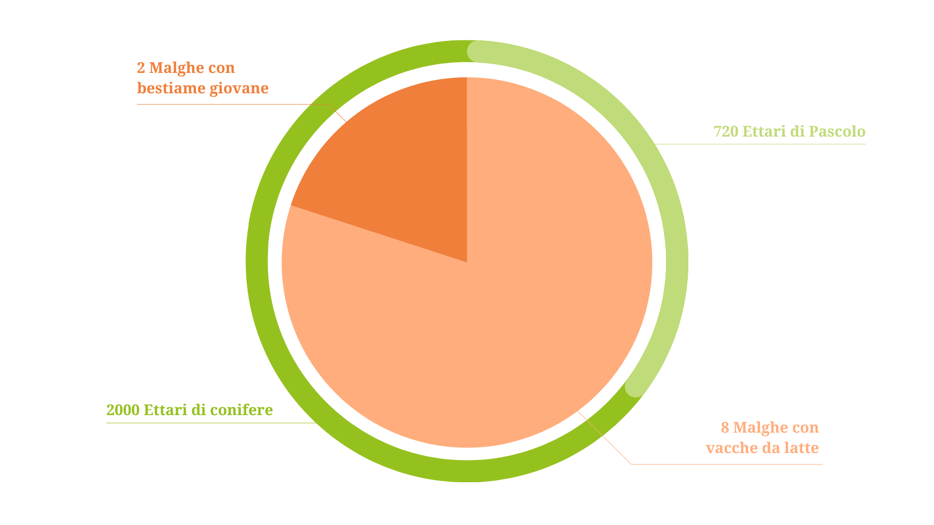 Un'infografica che descrive la distribuzione degli ettari dell'altopiano delle Vezzene e della distribuzione della mandria in malga