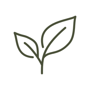Simple line drawing of a plant with three leaves.